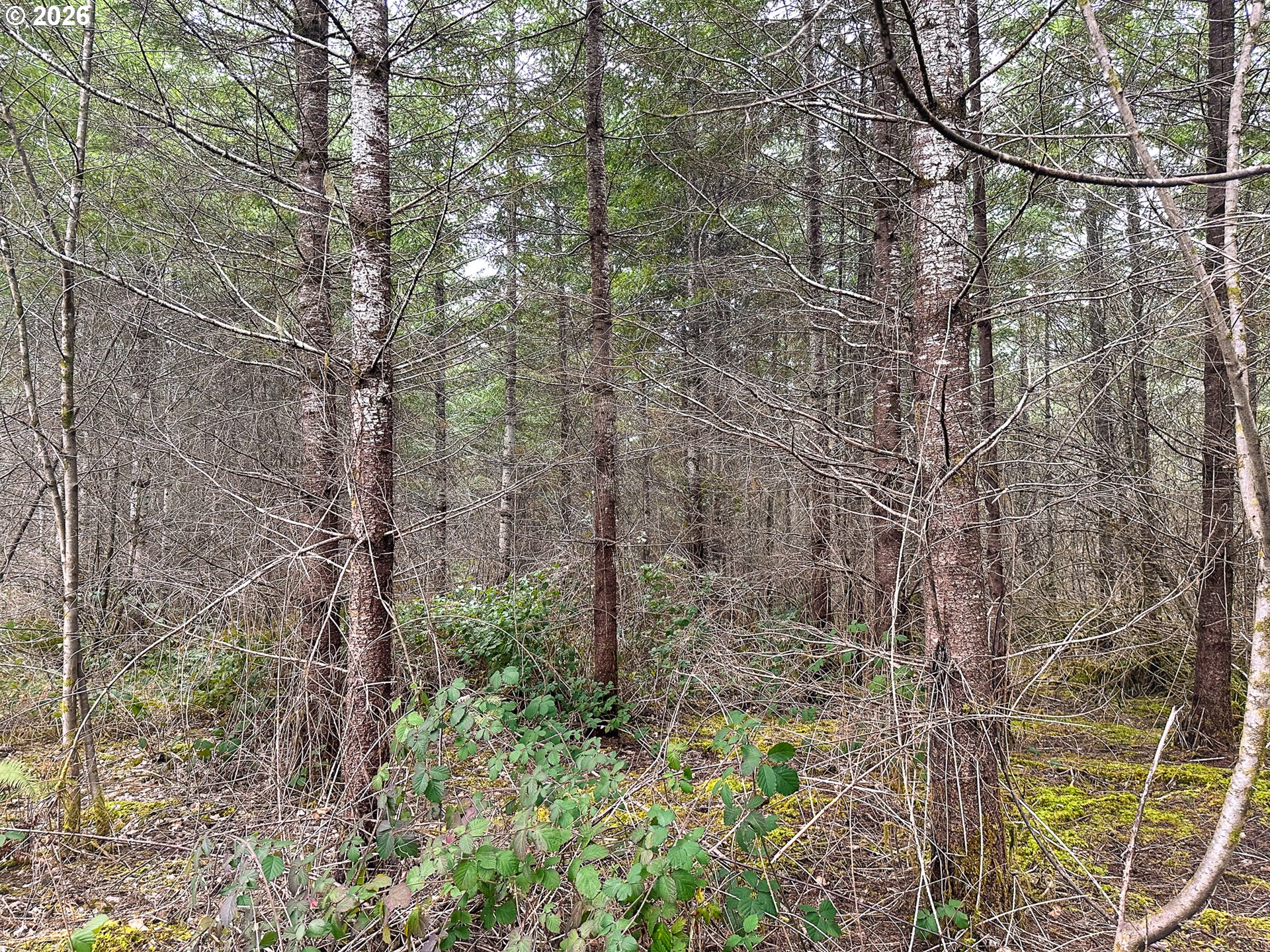Anthony Creek RD TL700