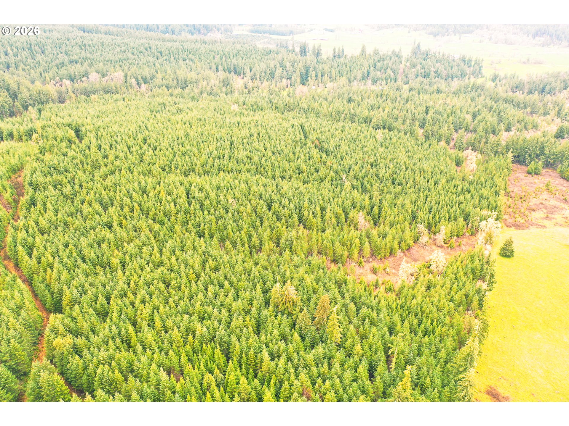 Anthony Creek RD TL700