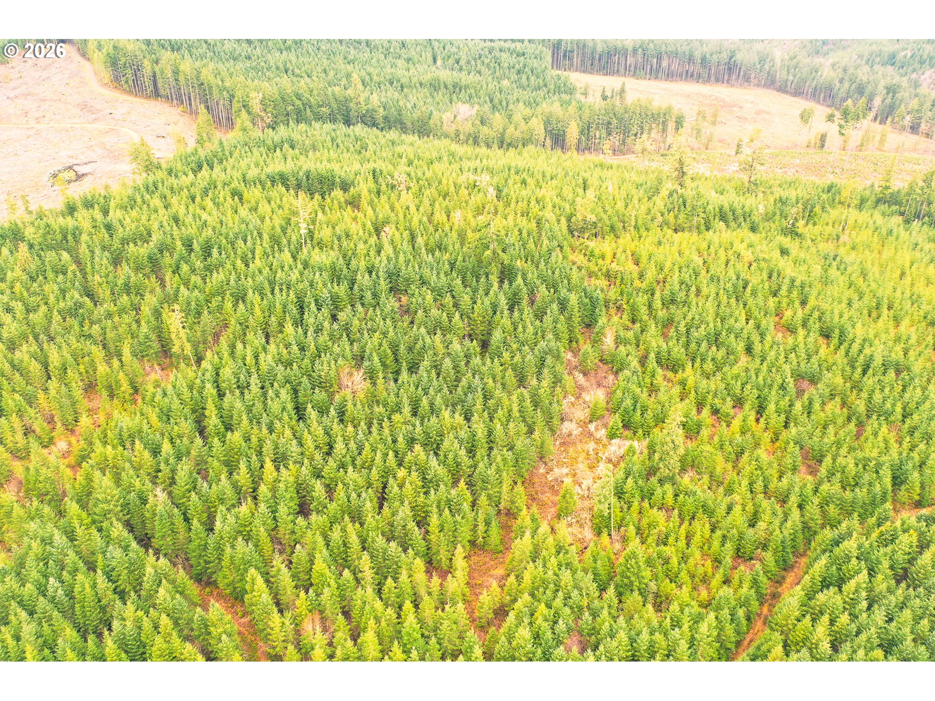 Anthony Creek RD TL700