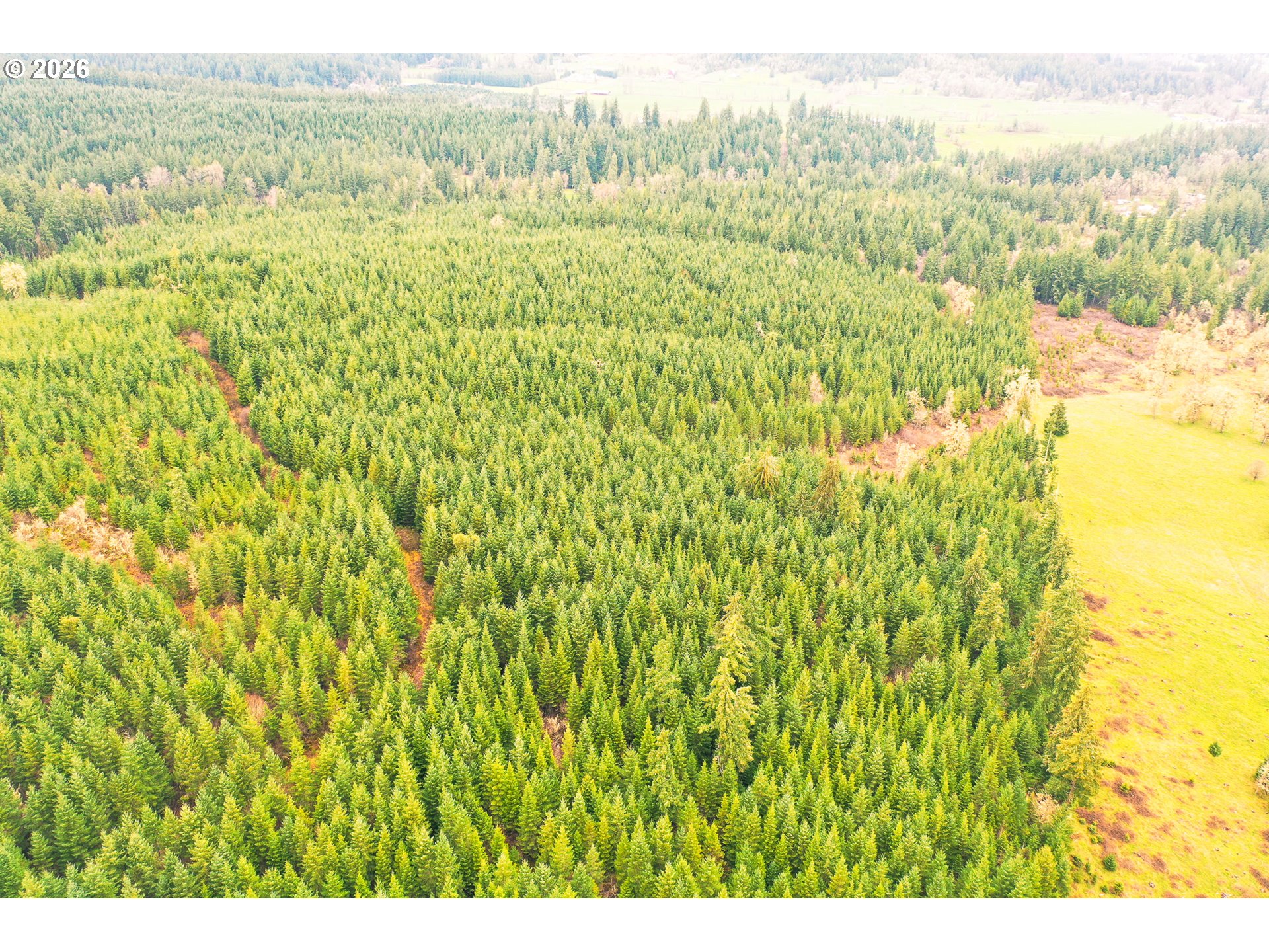 Anthony Creek RD TL700