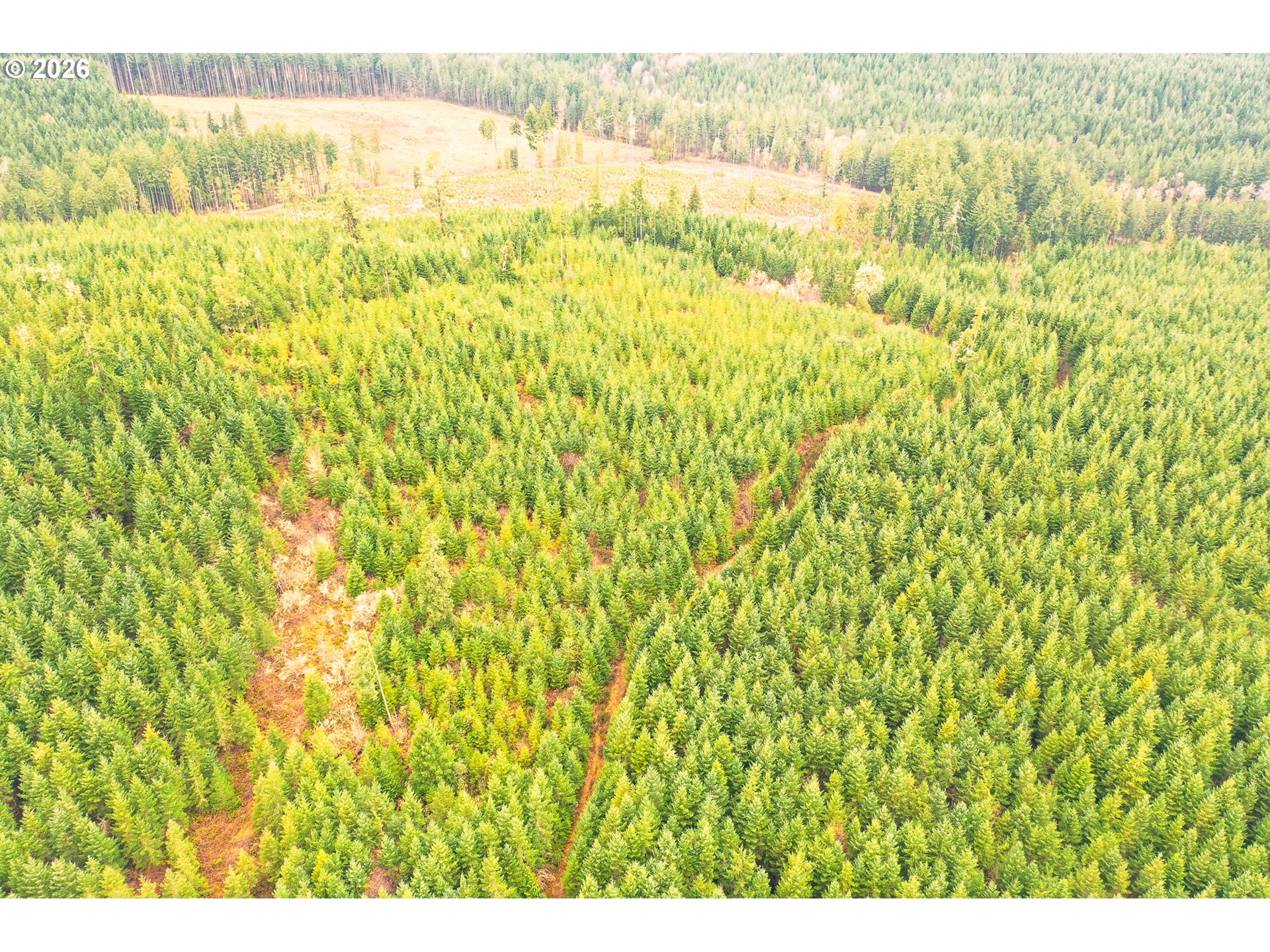 Anthony Creek RD TL700