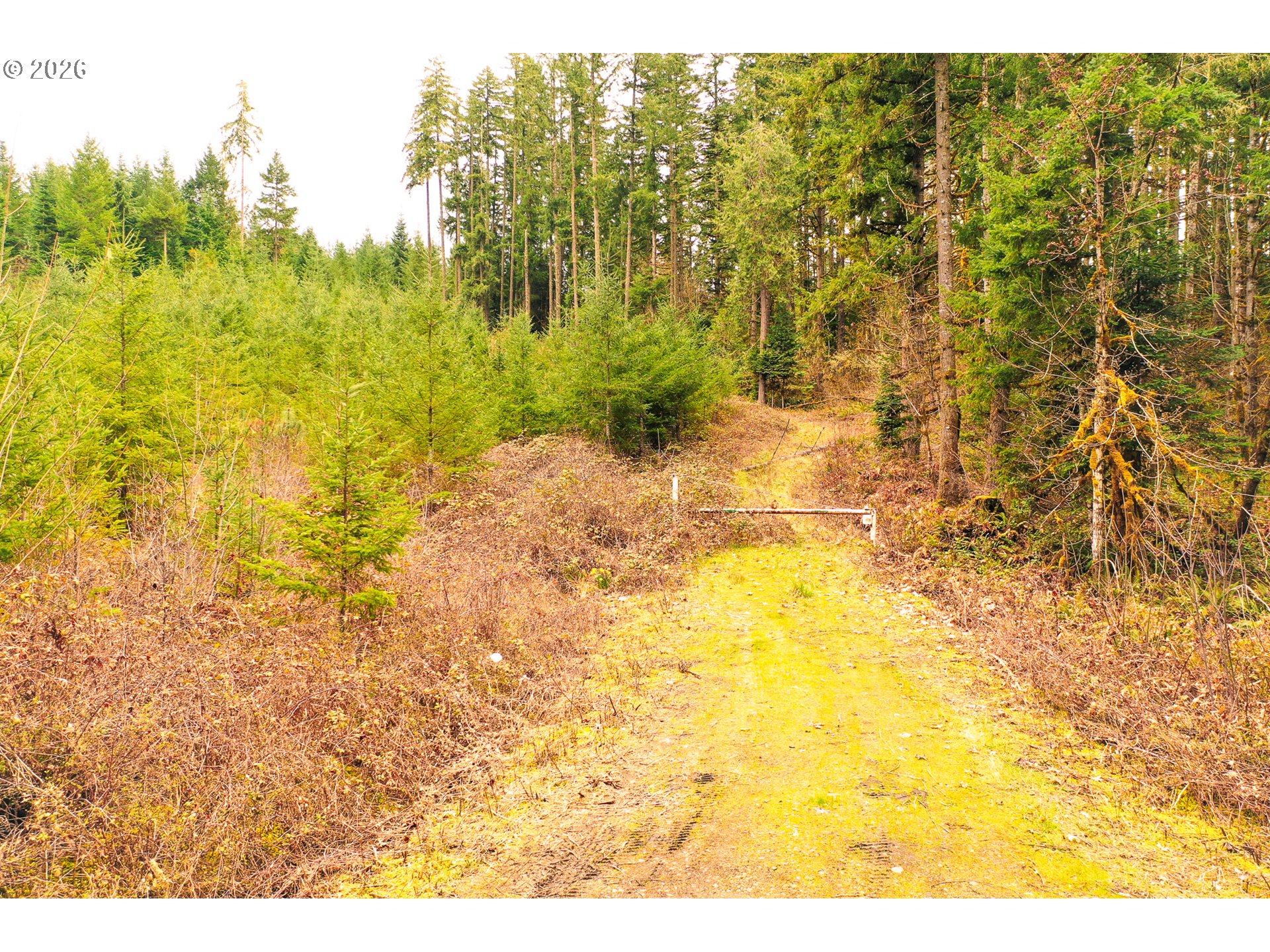 Anthony Creek RD TL700