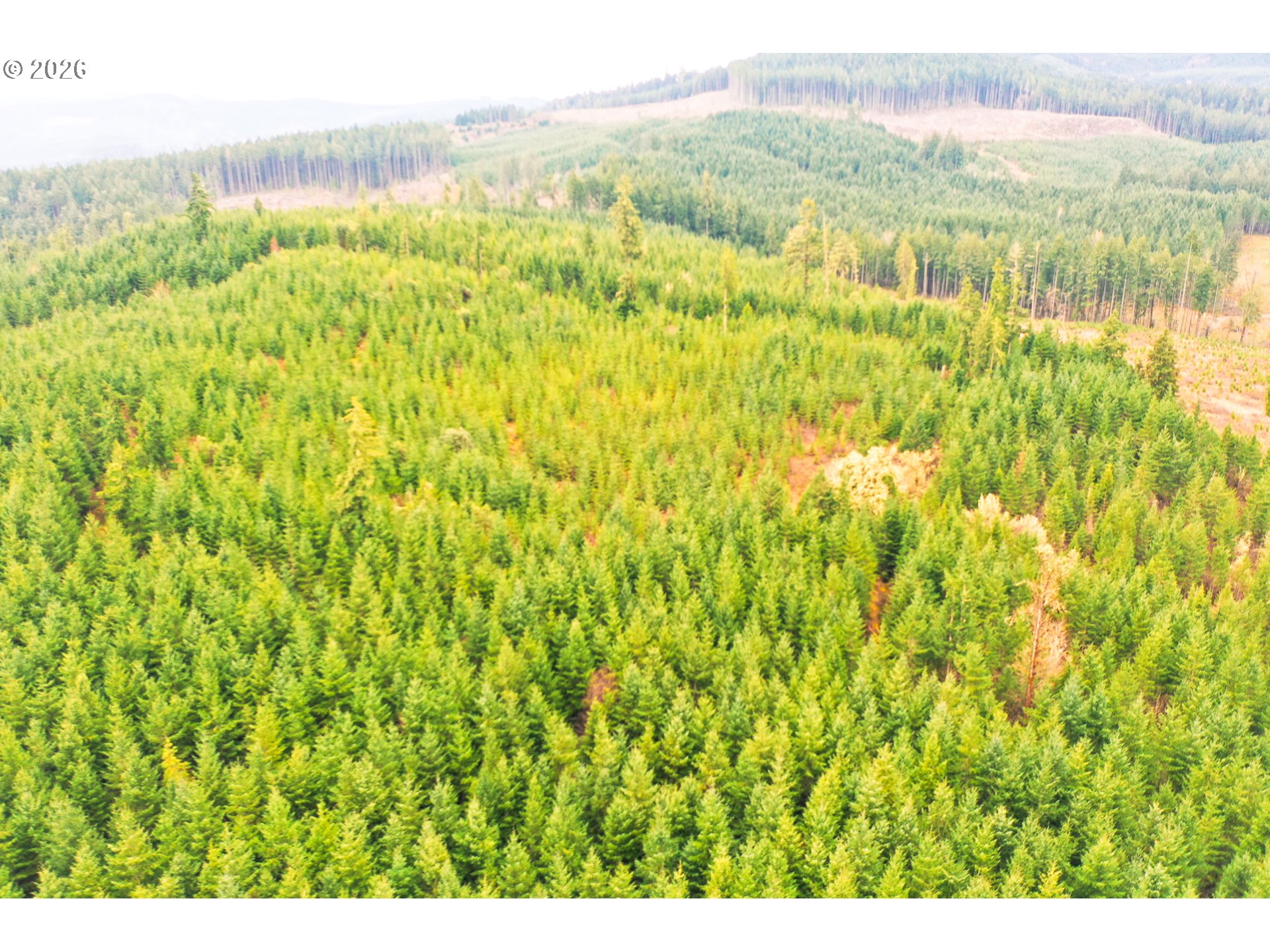 Anthony Creek RD TL700