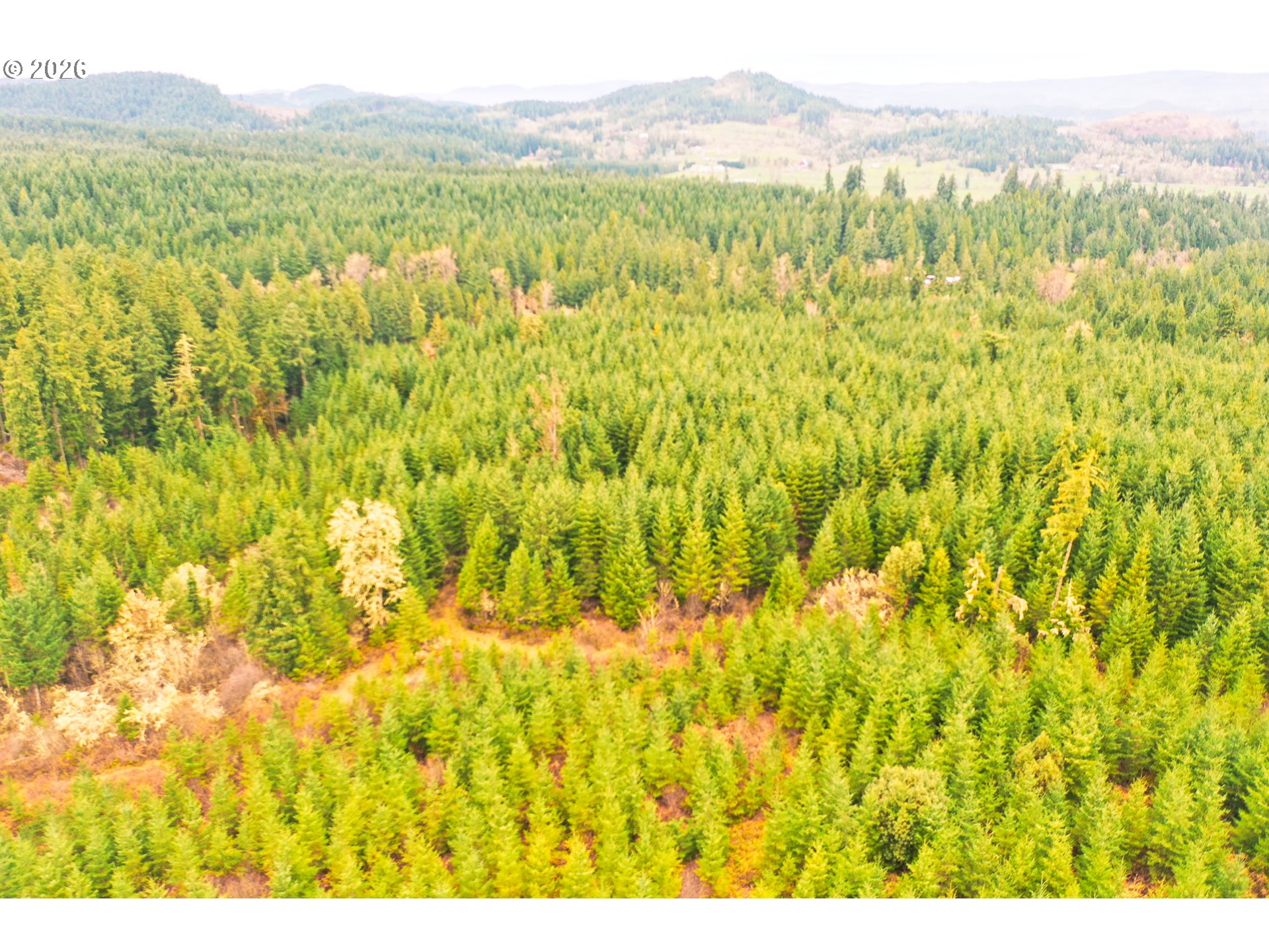 Anthony Creek RD TL700