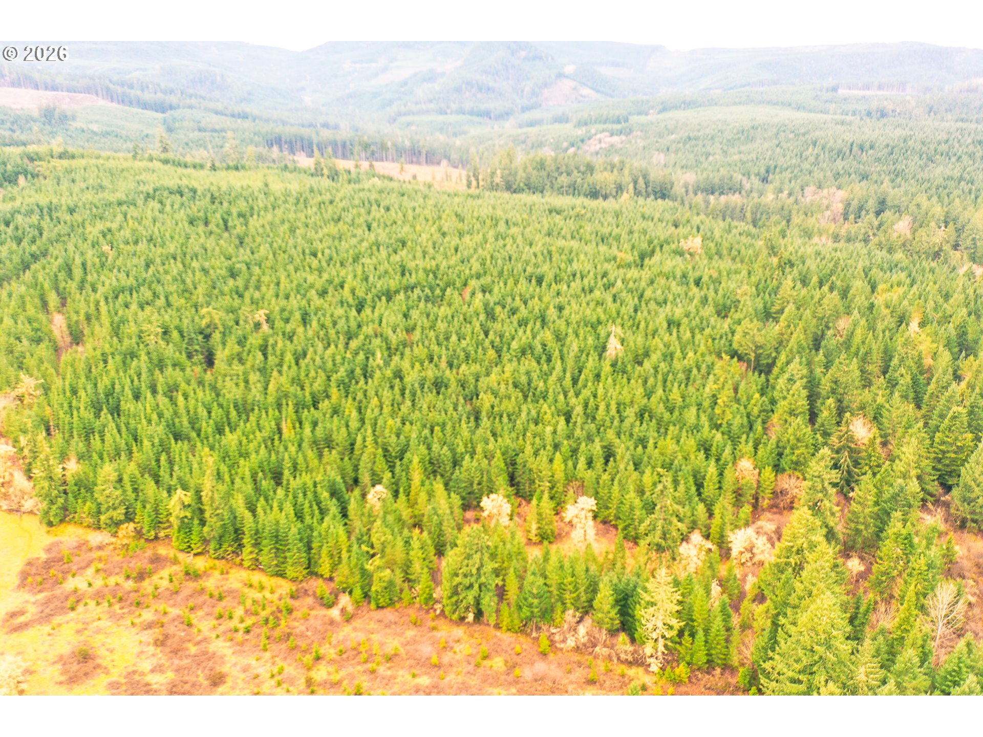 Anthony Creek RD TL700