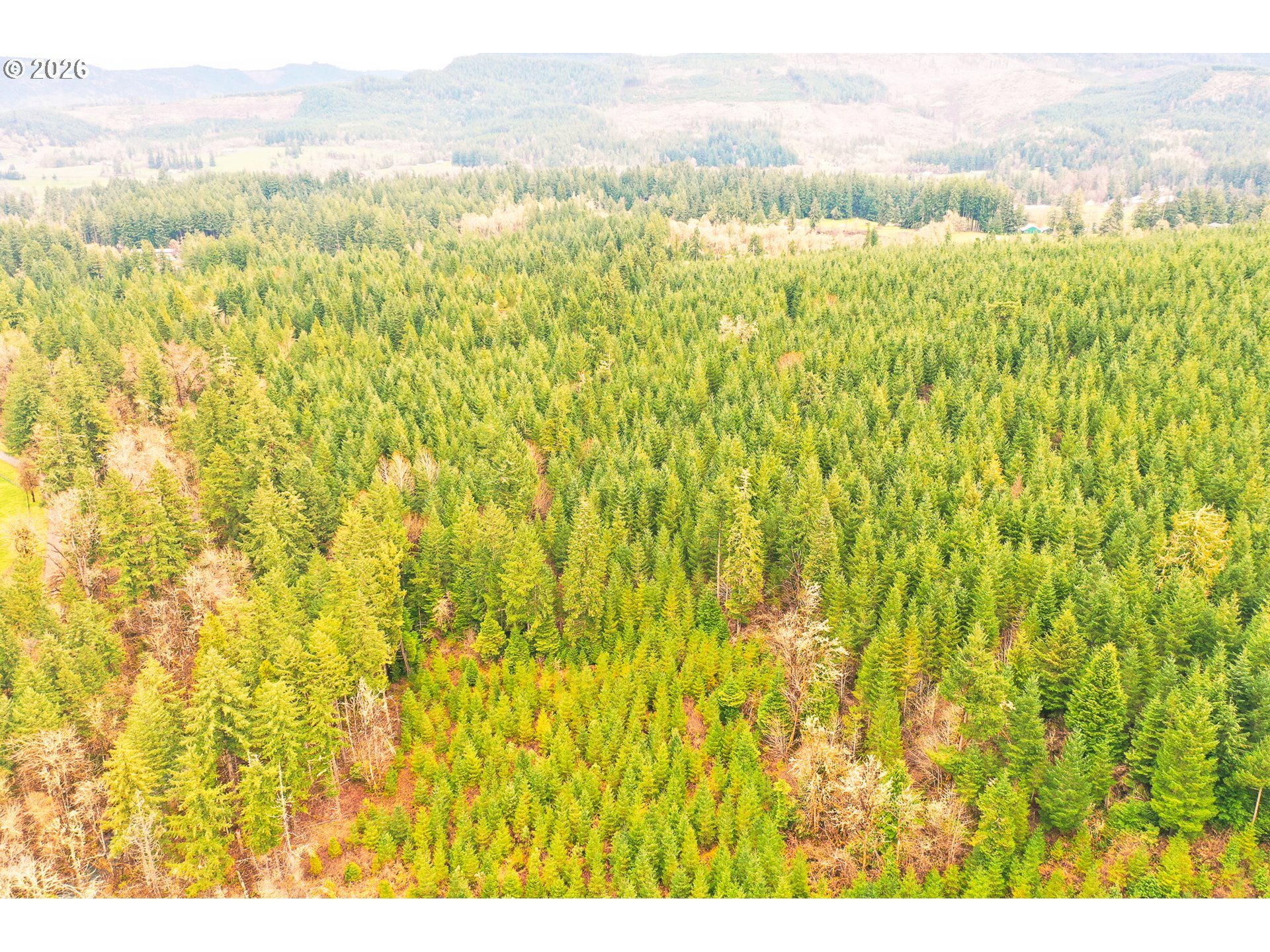 Anthony Creek RD TL700