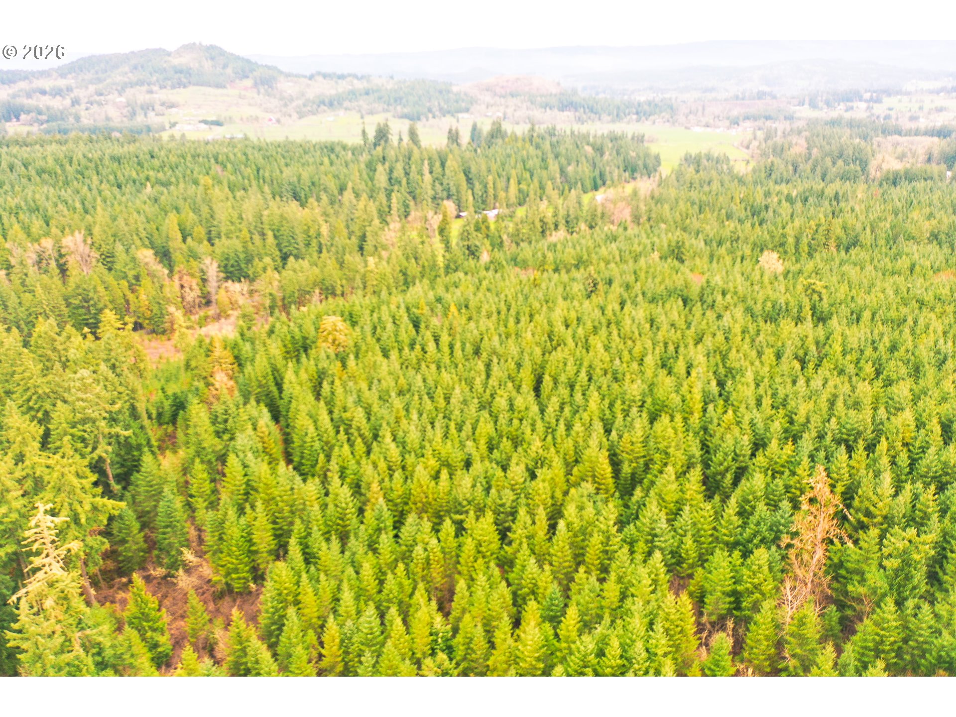Anthony Creek RD TL700