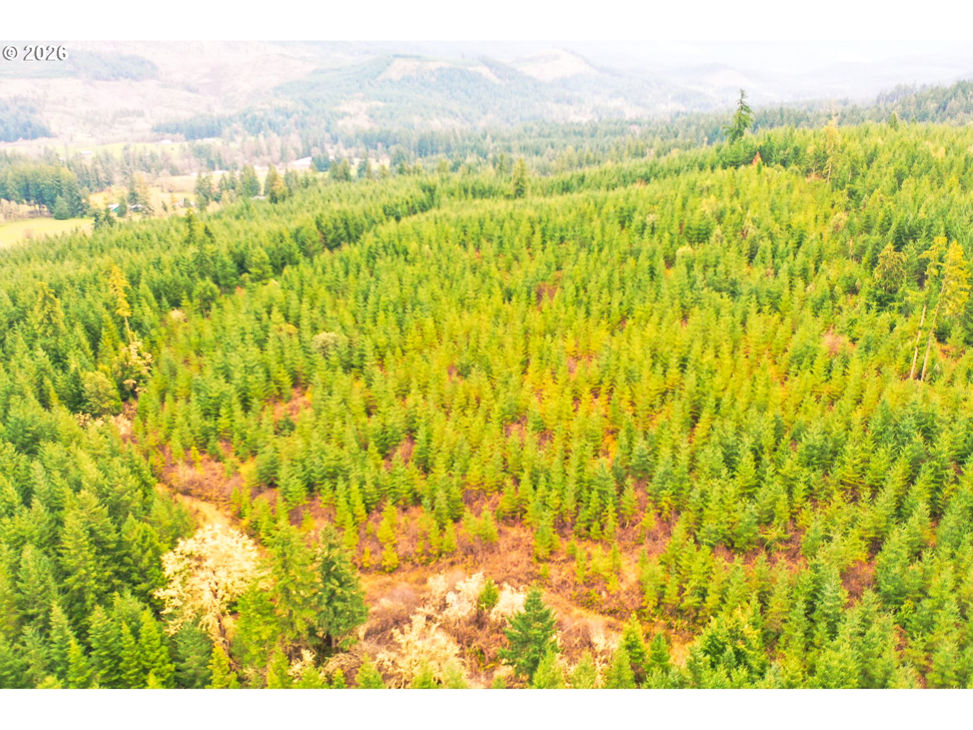 Anthony Creek RD TL700