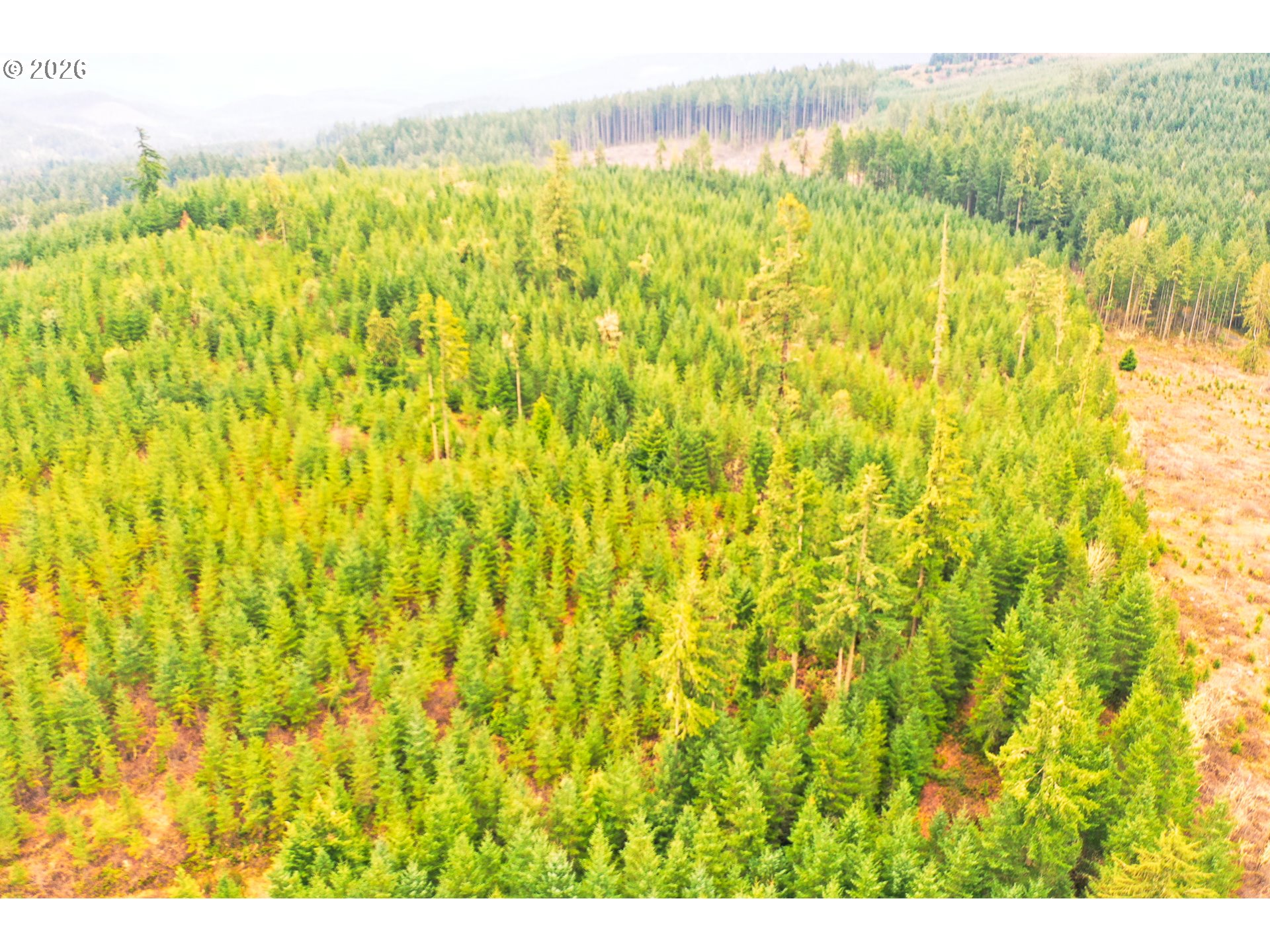 Anthony Creek RD TL700