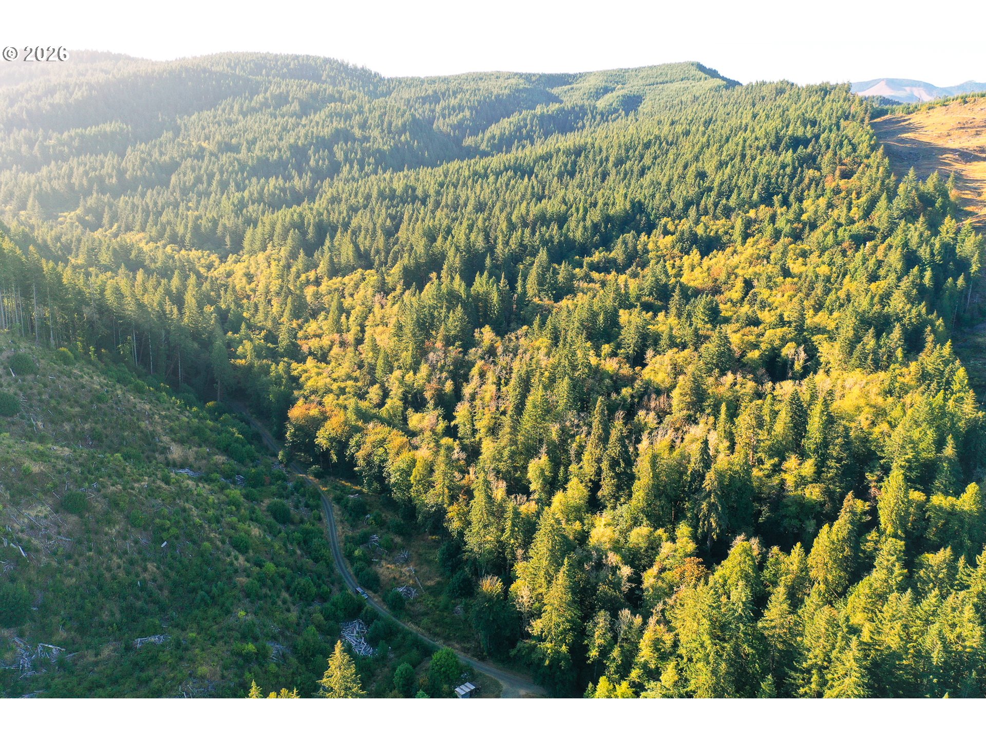 Honey Grove Creek