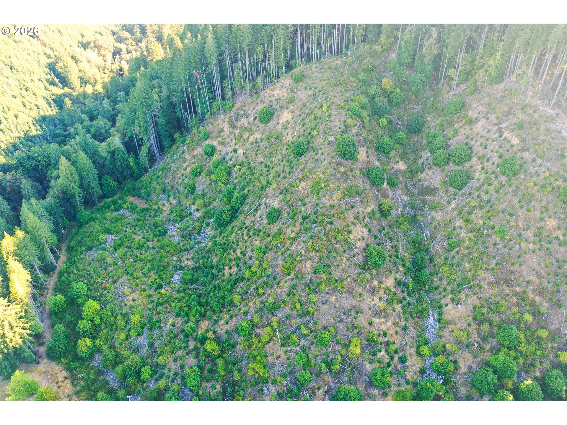 Honey Grove Creek