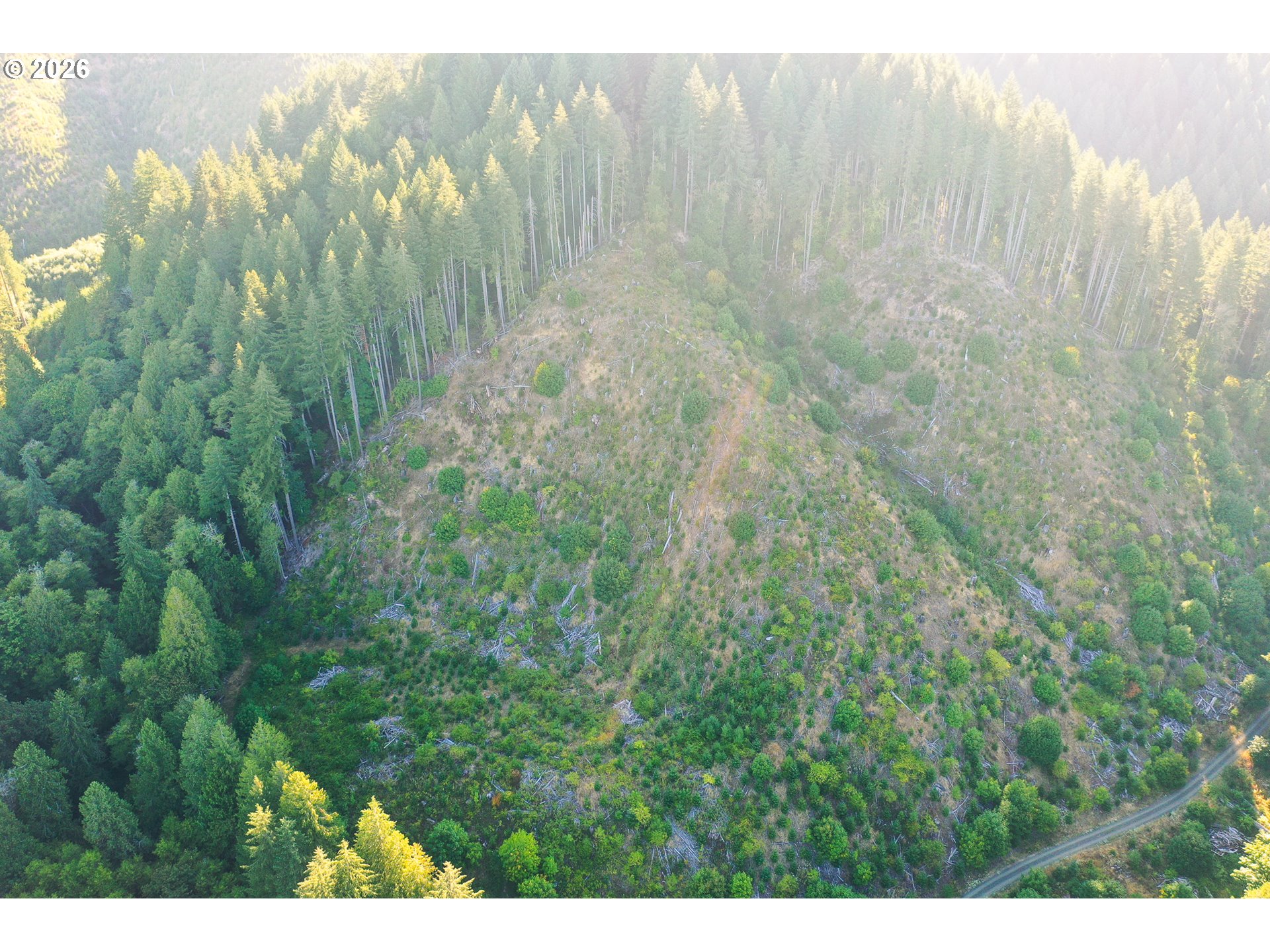 Honey Grove Creek