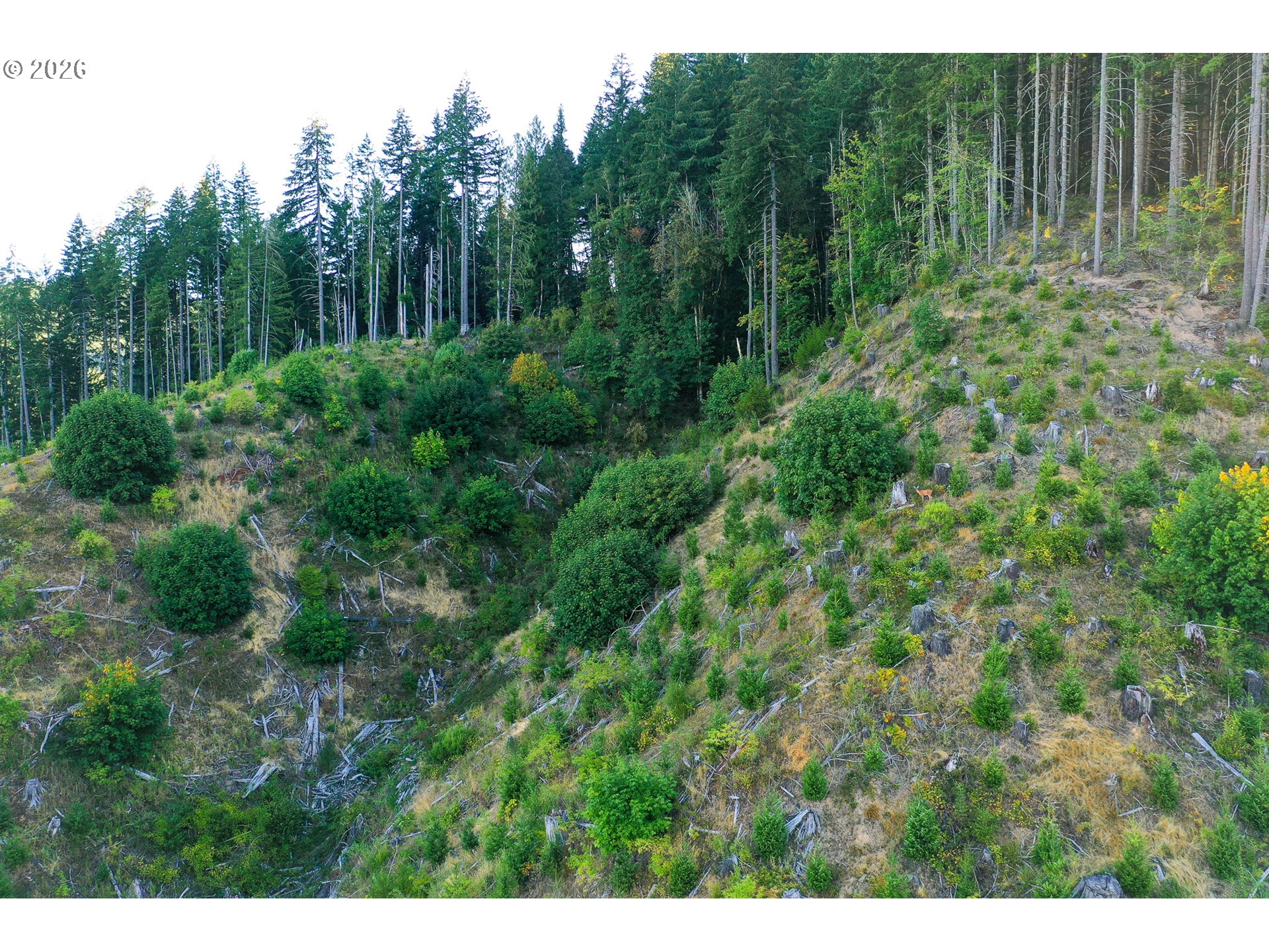 Honey Grove Creek