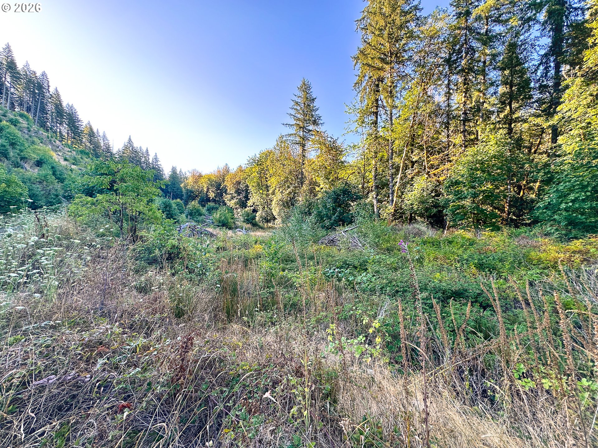 Honey Grove Creek