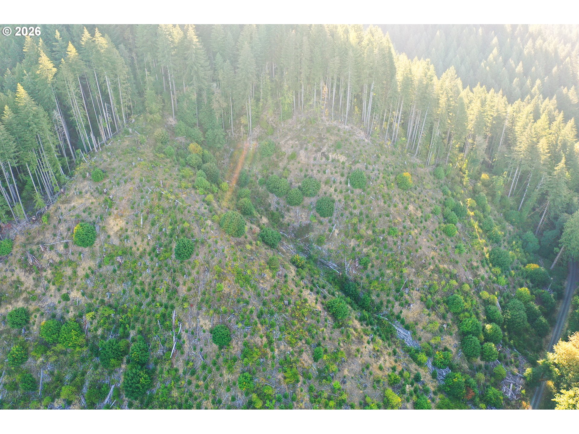Honey Grove Creek