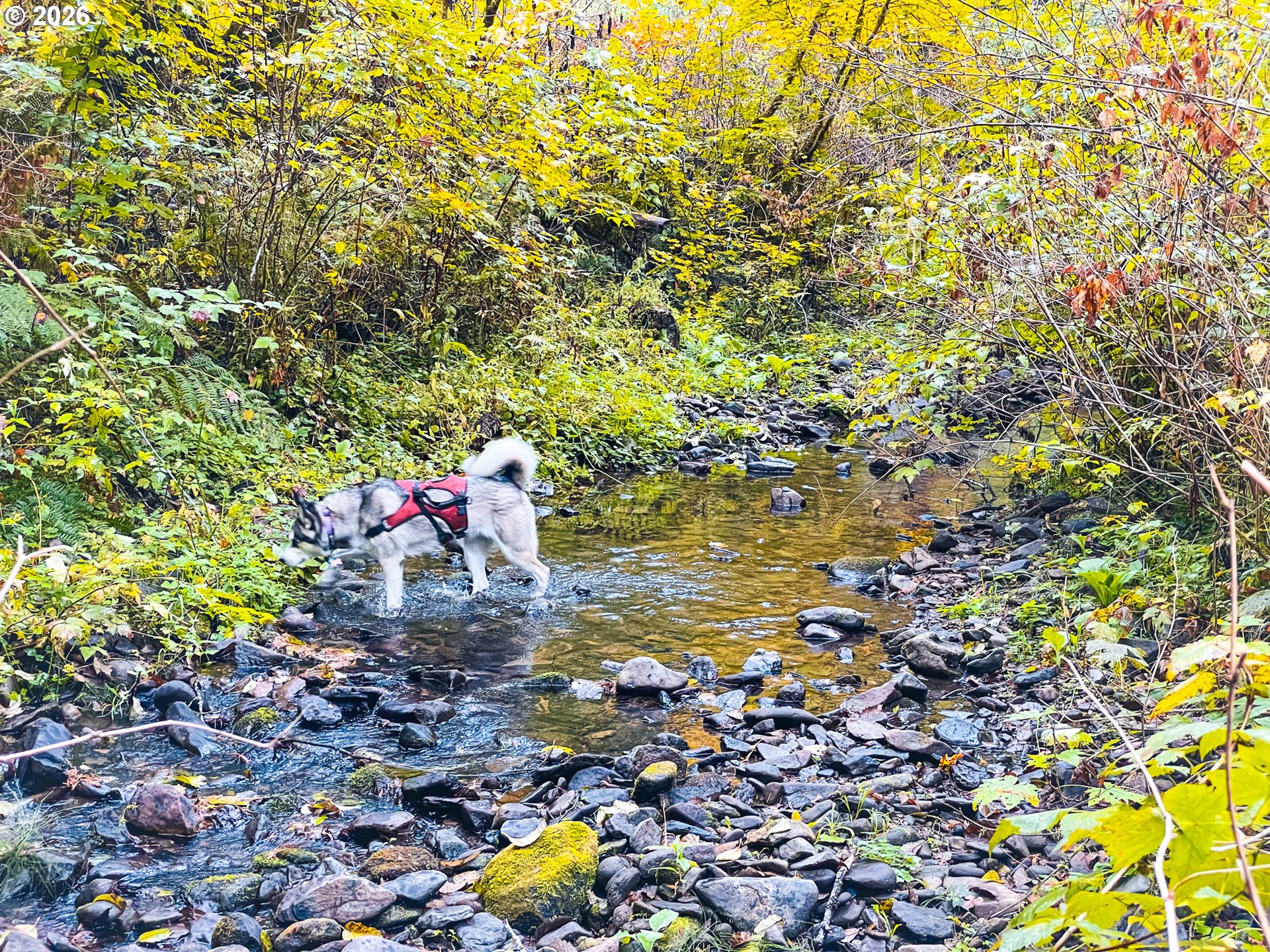 Honey Grove Creek
