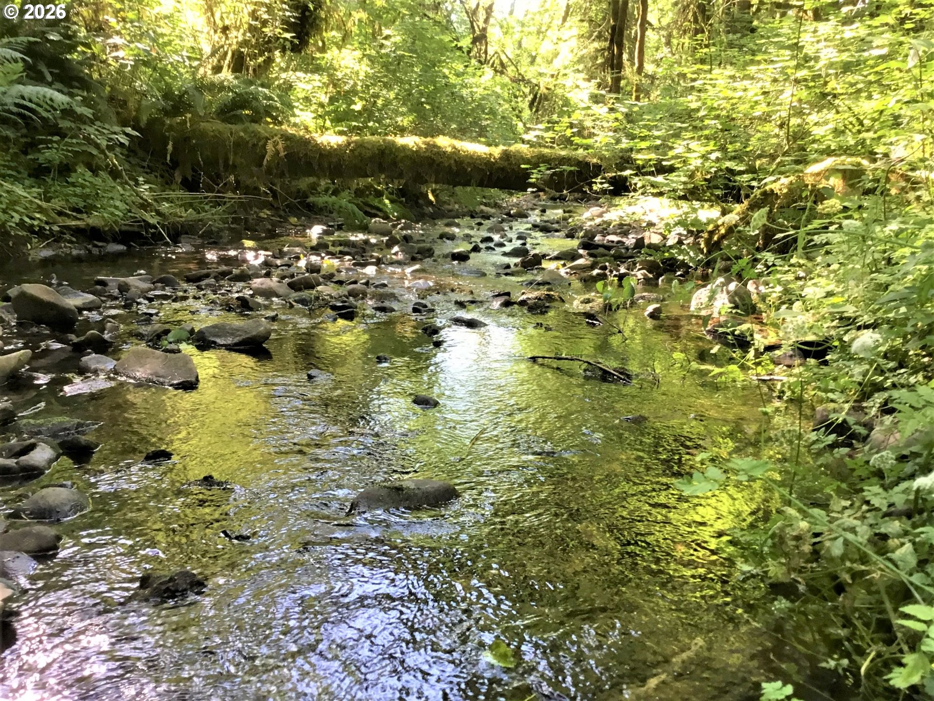Honey Grove Creek