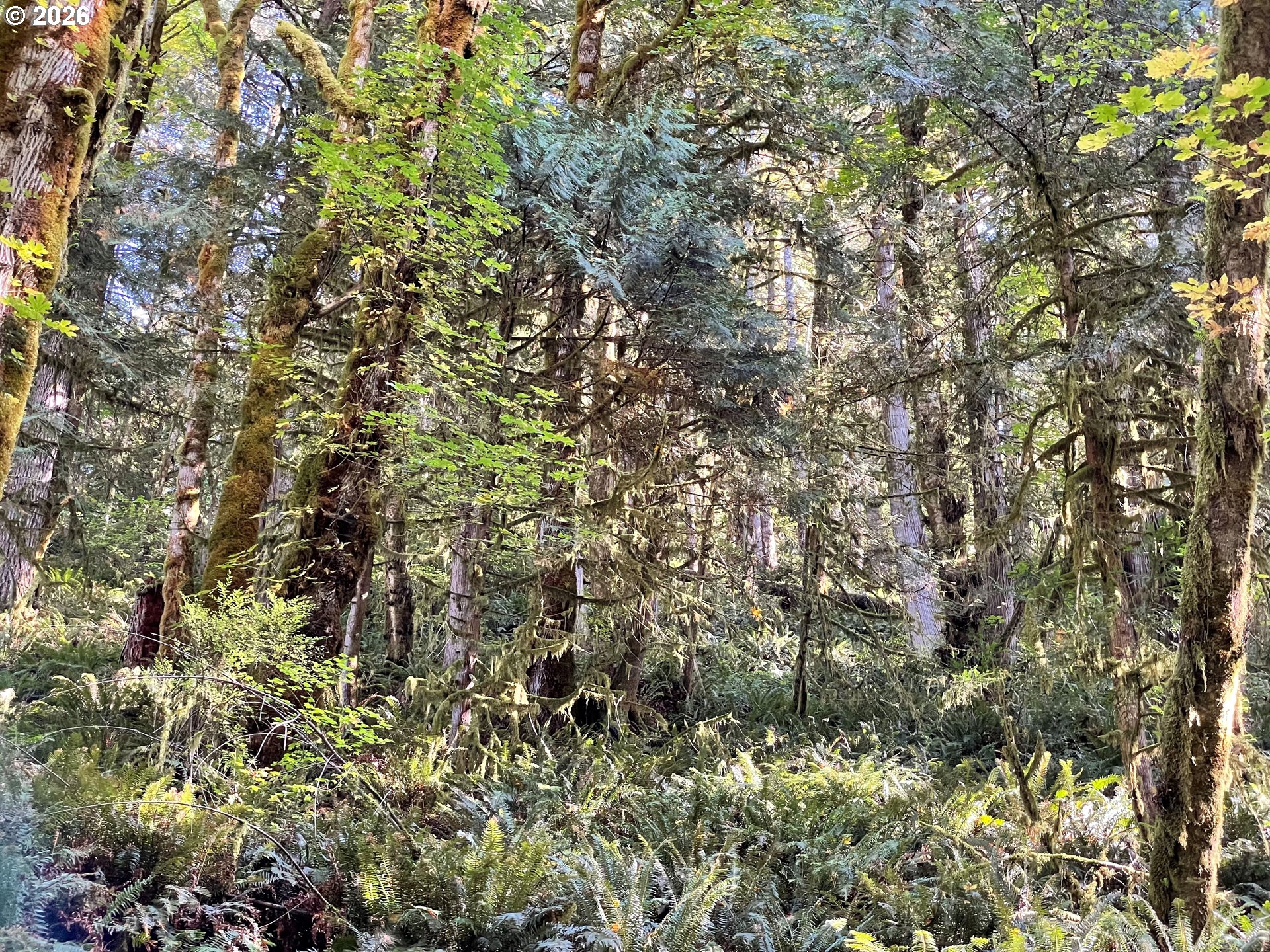 Honey Grove Creek