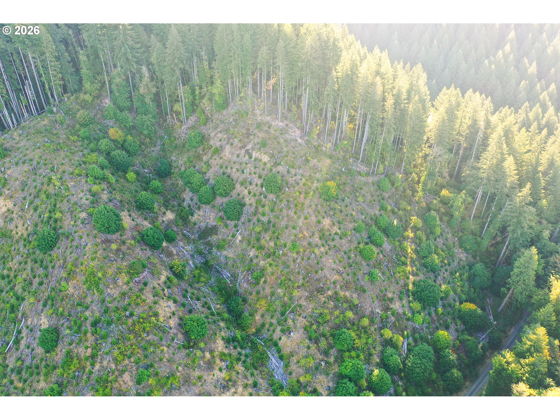 Honey Grove Creek