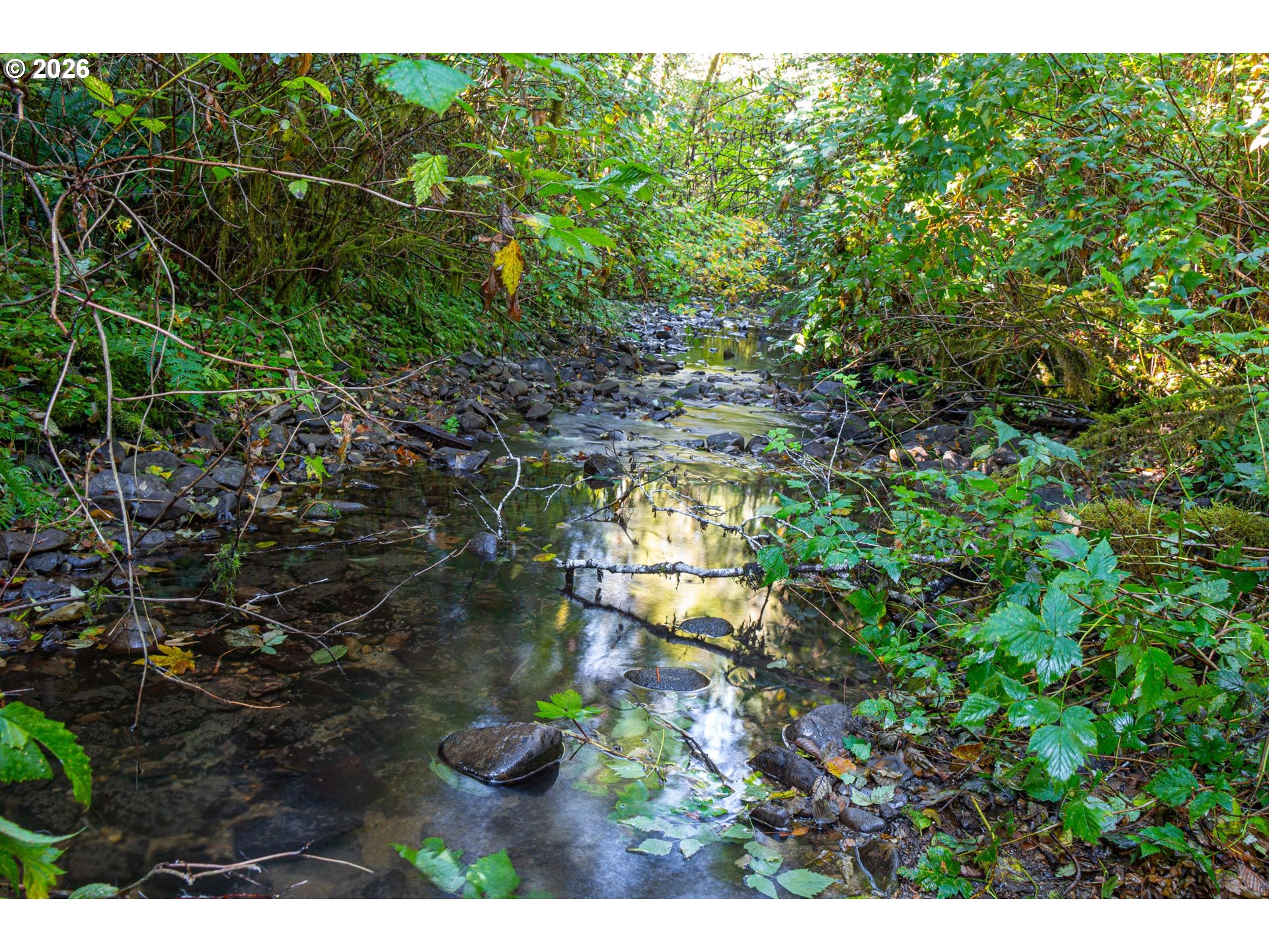 Honey Grove Creek