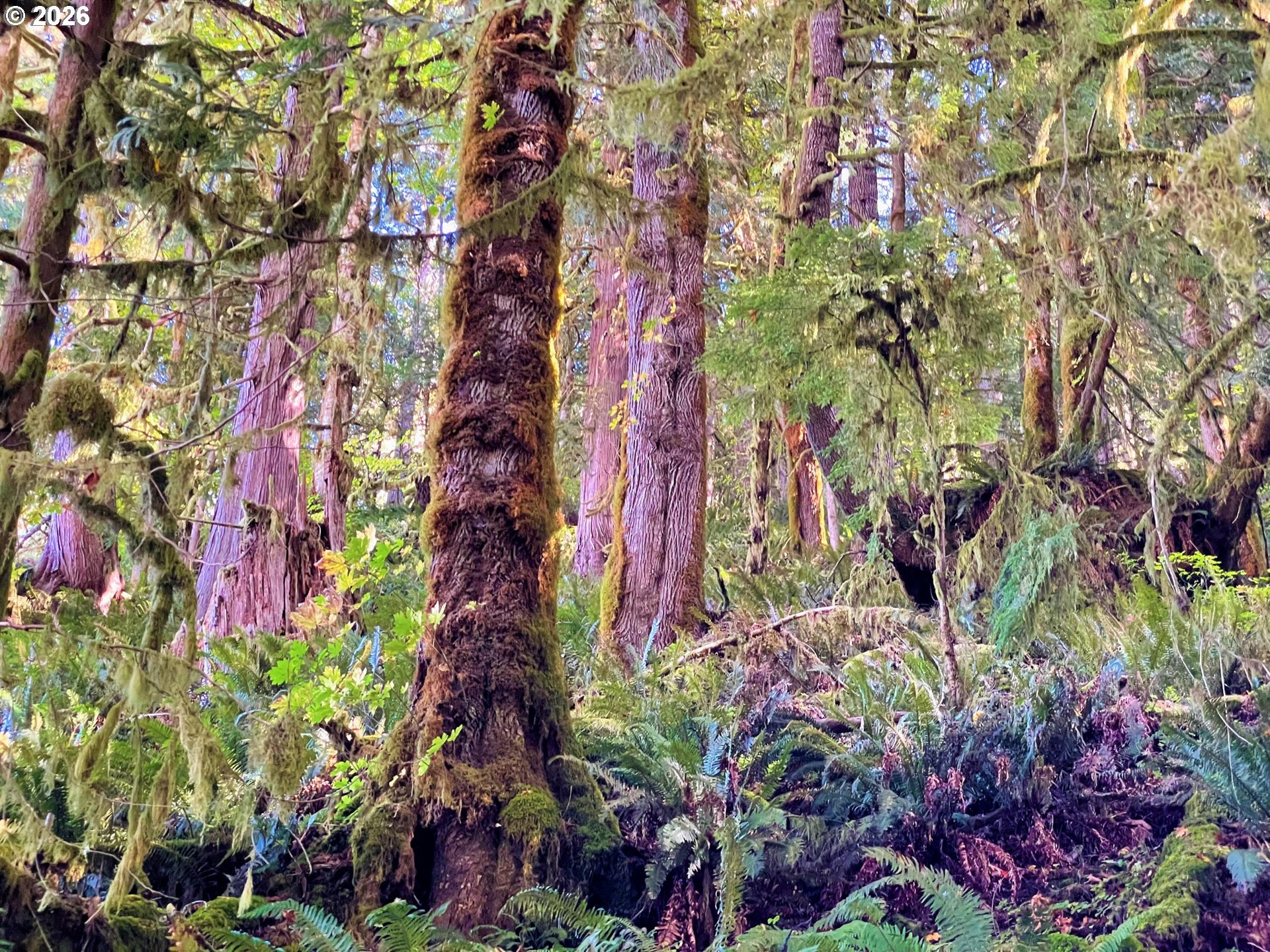 Honey Grove Creek