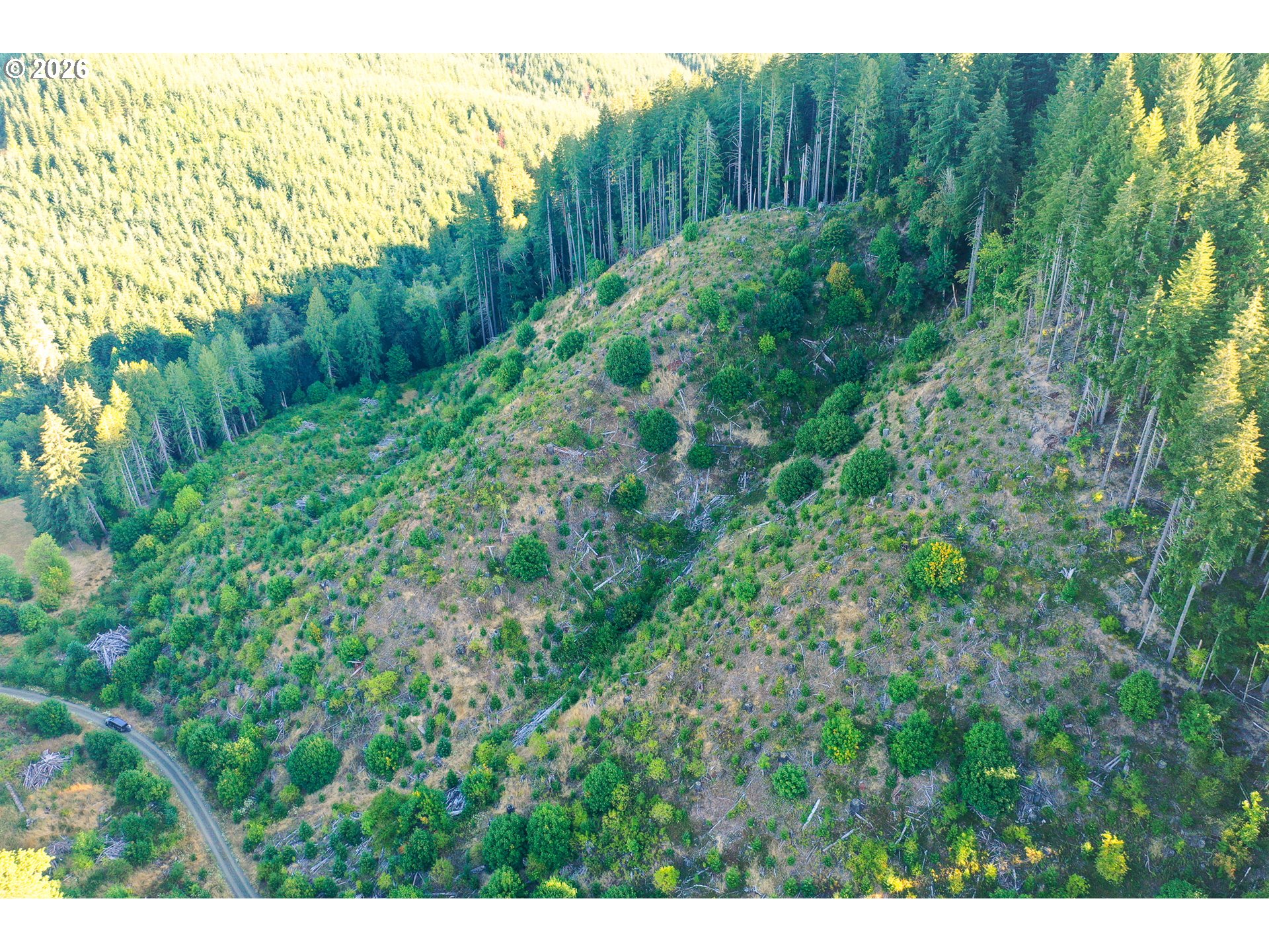 Honey Grove Creek
