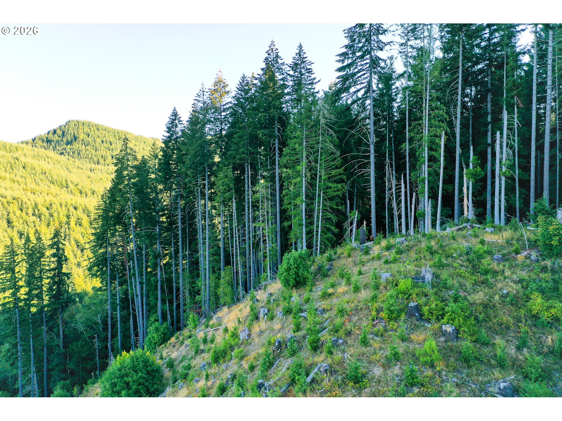 Honey Grove Creek