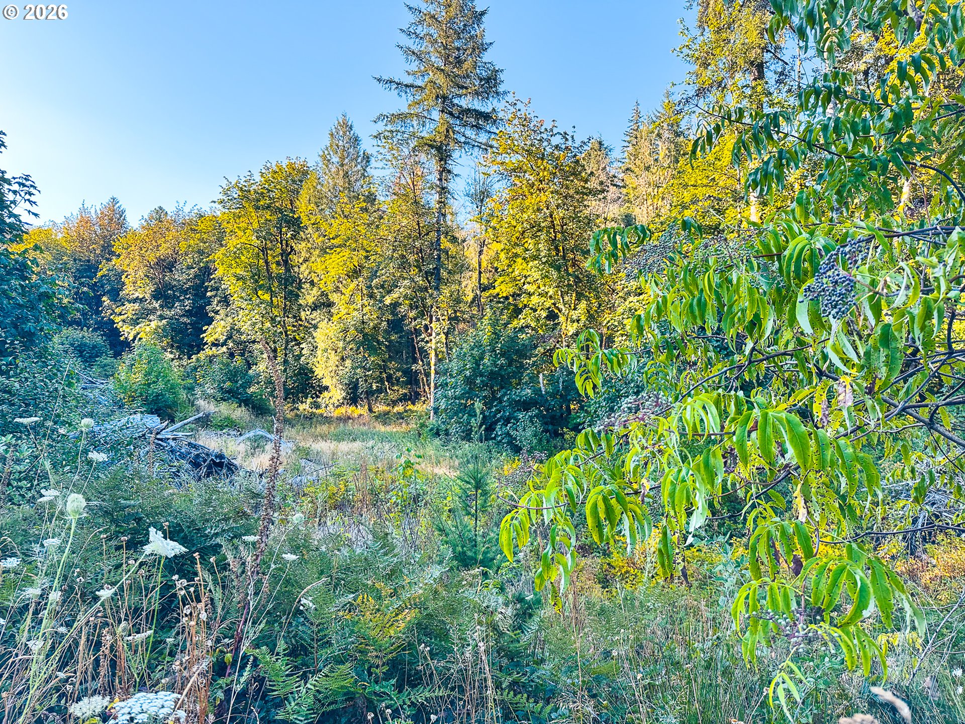 Honey Grove Creek