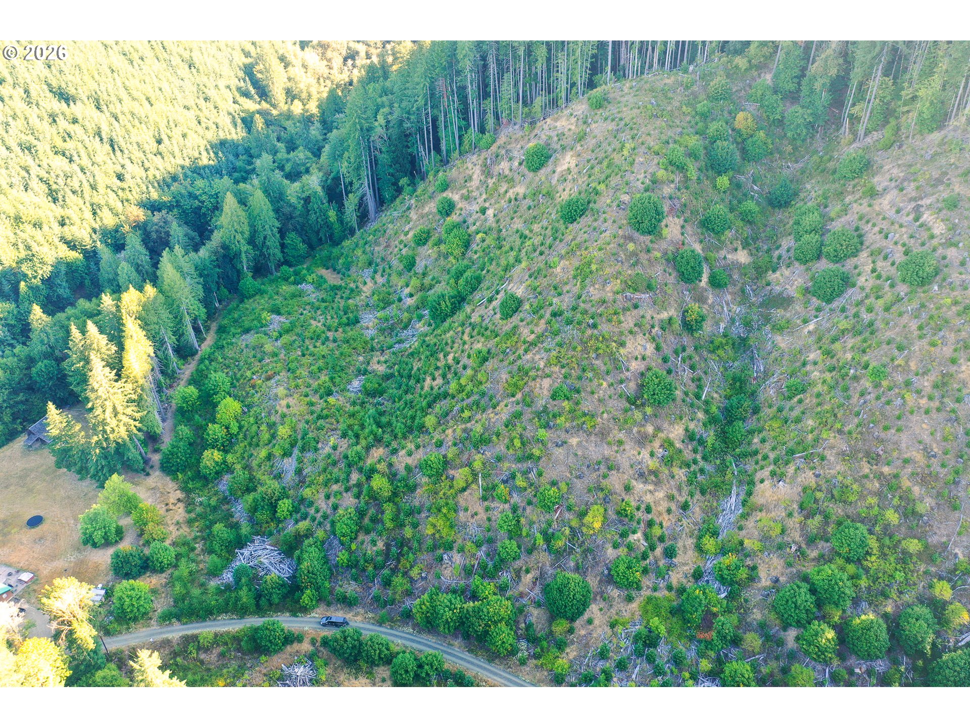 Honey Grove Creek