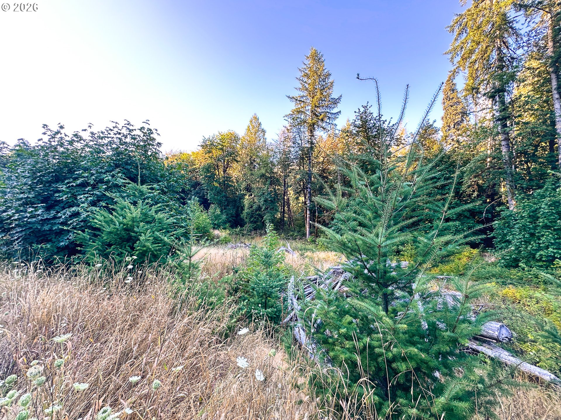 Honey Grove Creek