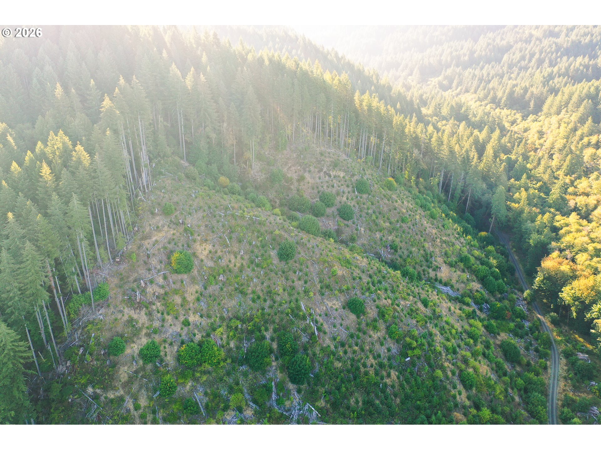Honey Grove Creek