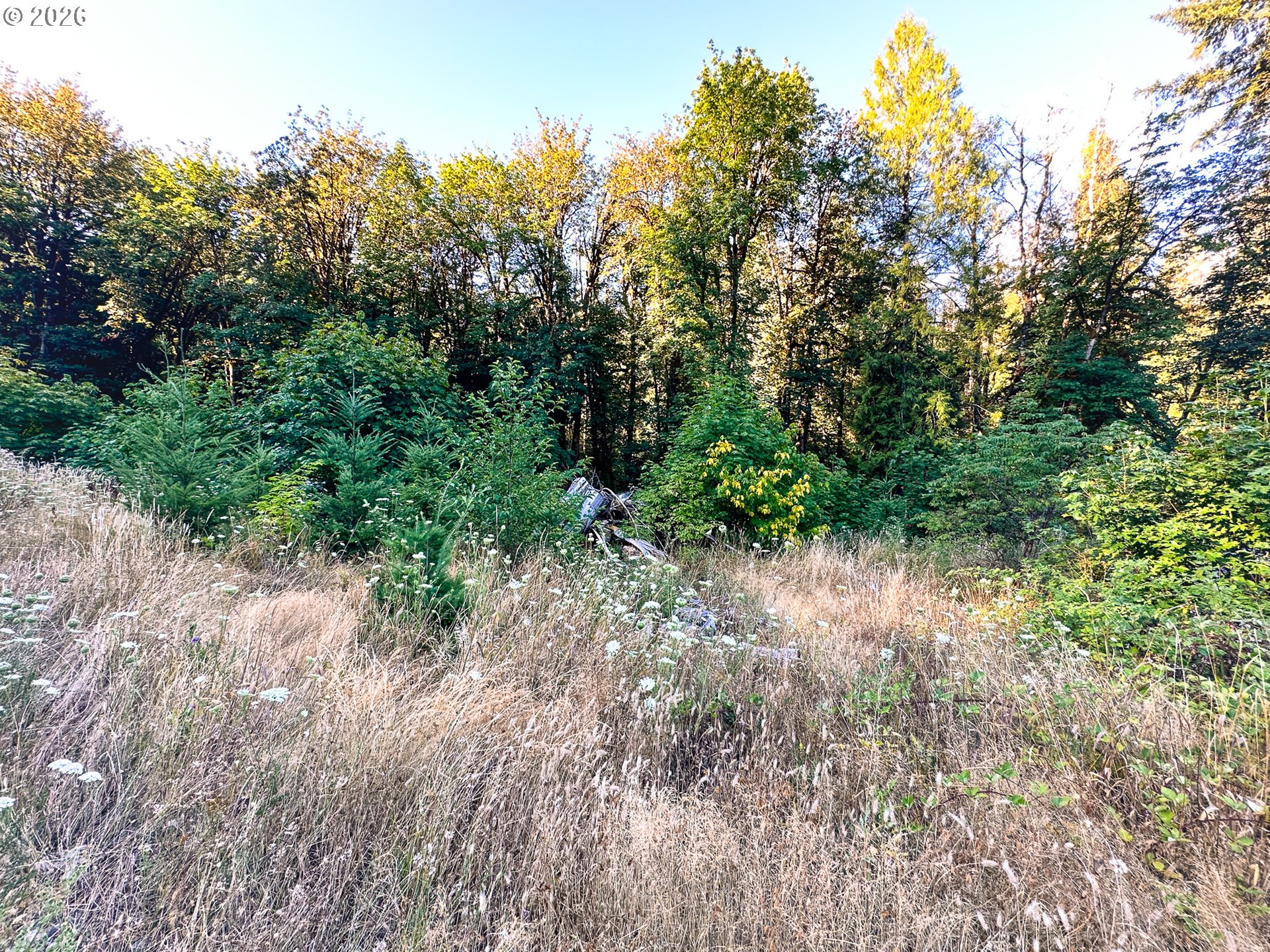 Honey Grove Creek