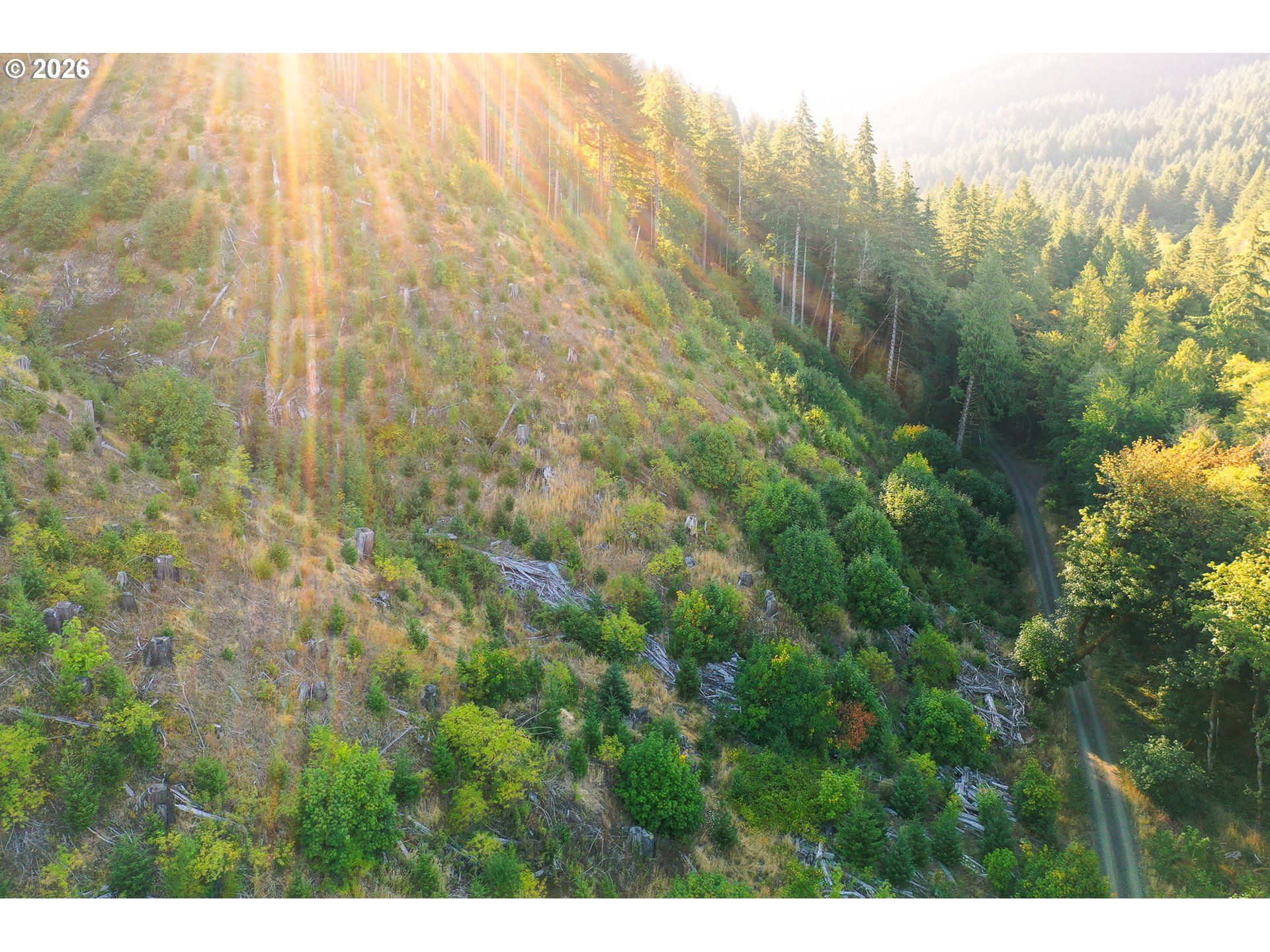 Honey Grove Creek