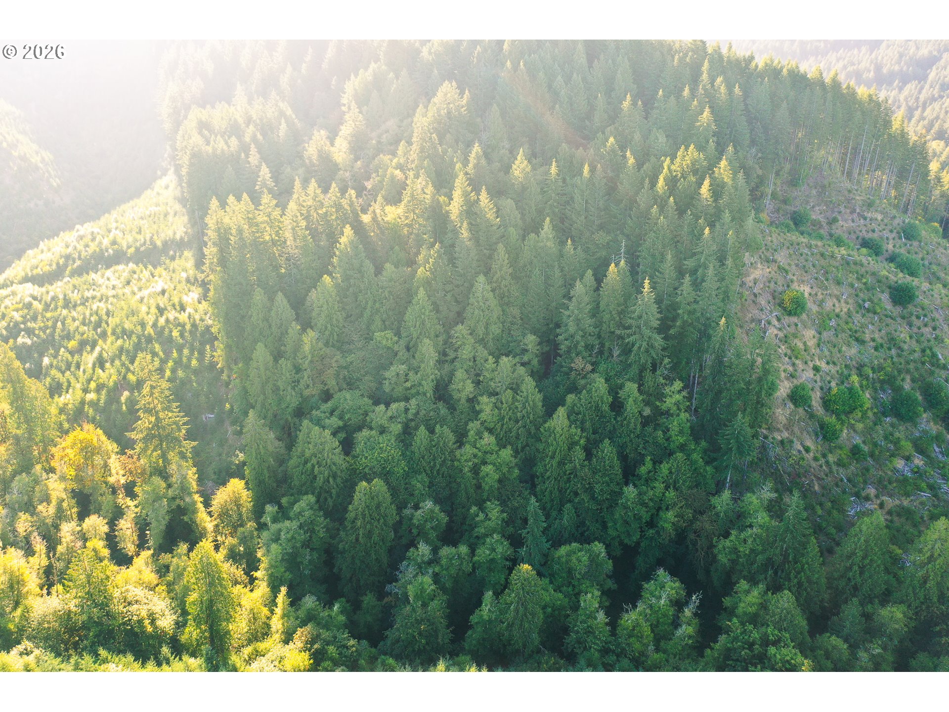 Honey Grove Creek