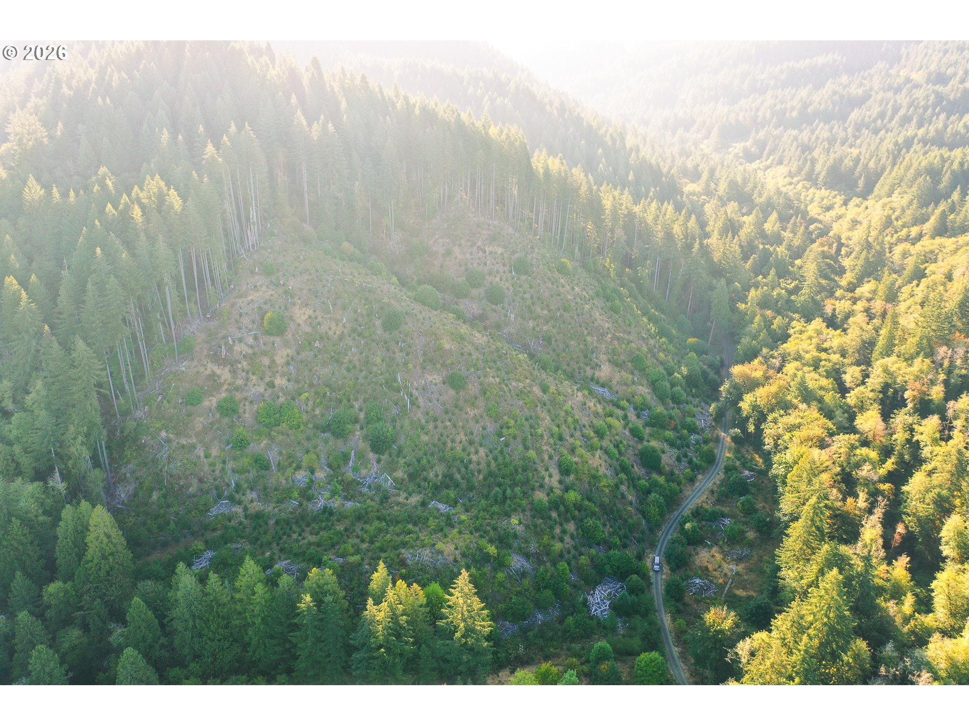 Honey Grove Creek