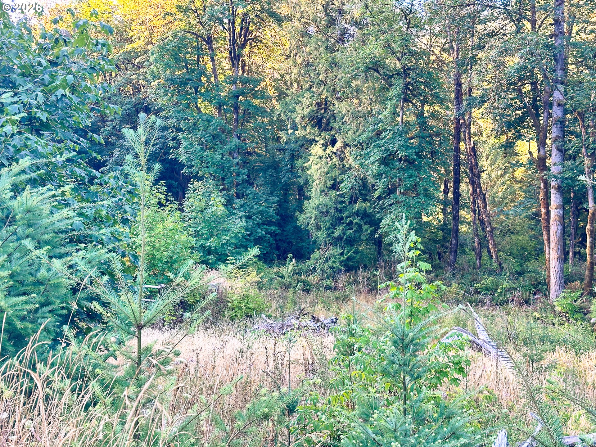 Honey Grove Creek