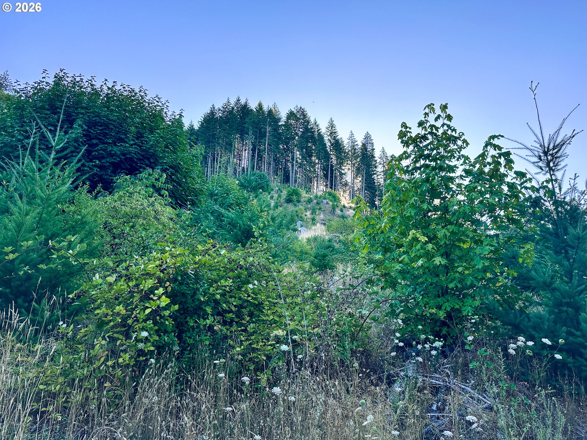 Honey Grove Creek
