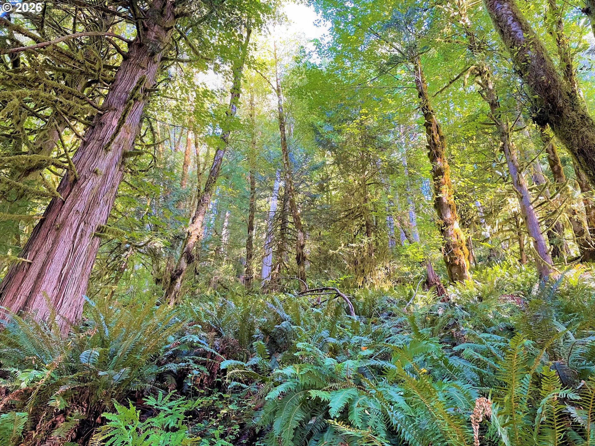 Honey Grove Creek