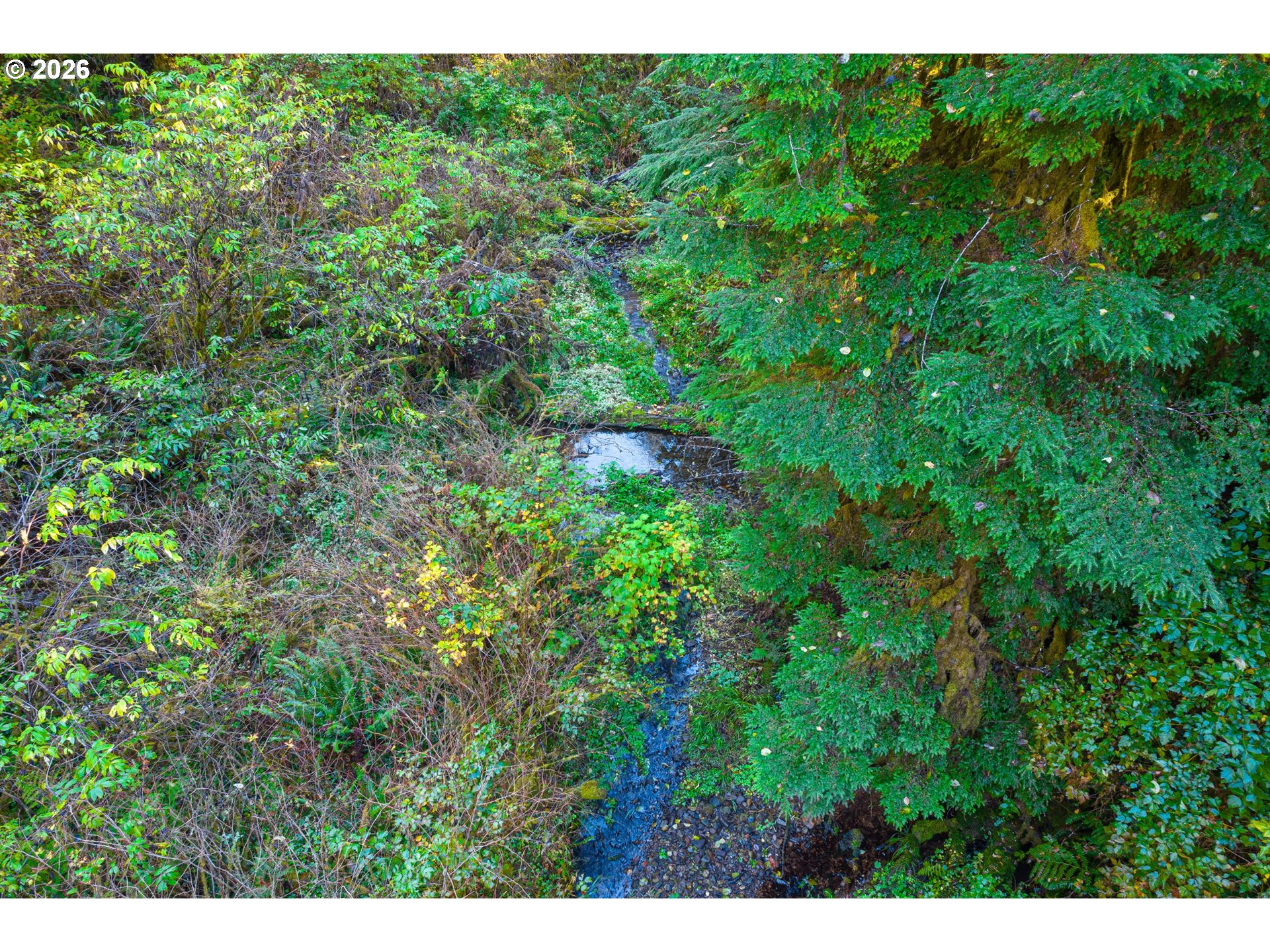 Honey Grove Creek