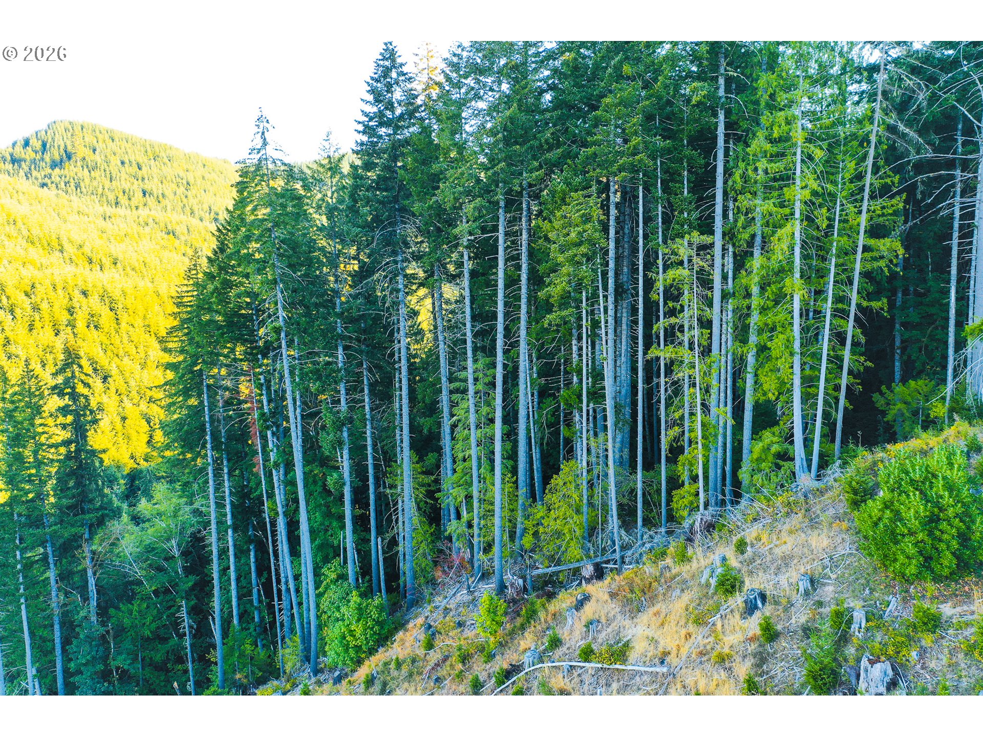 Honey Grove Creek