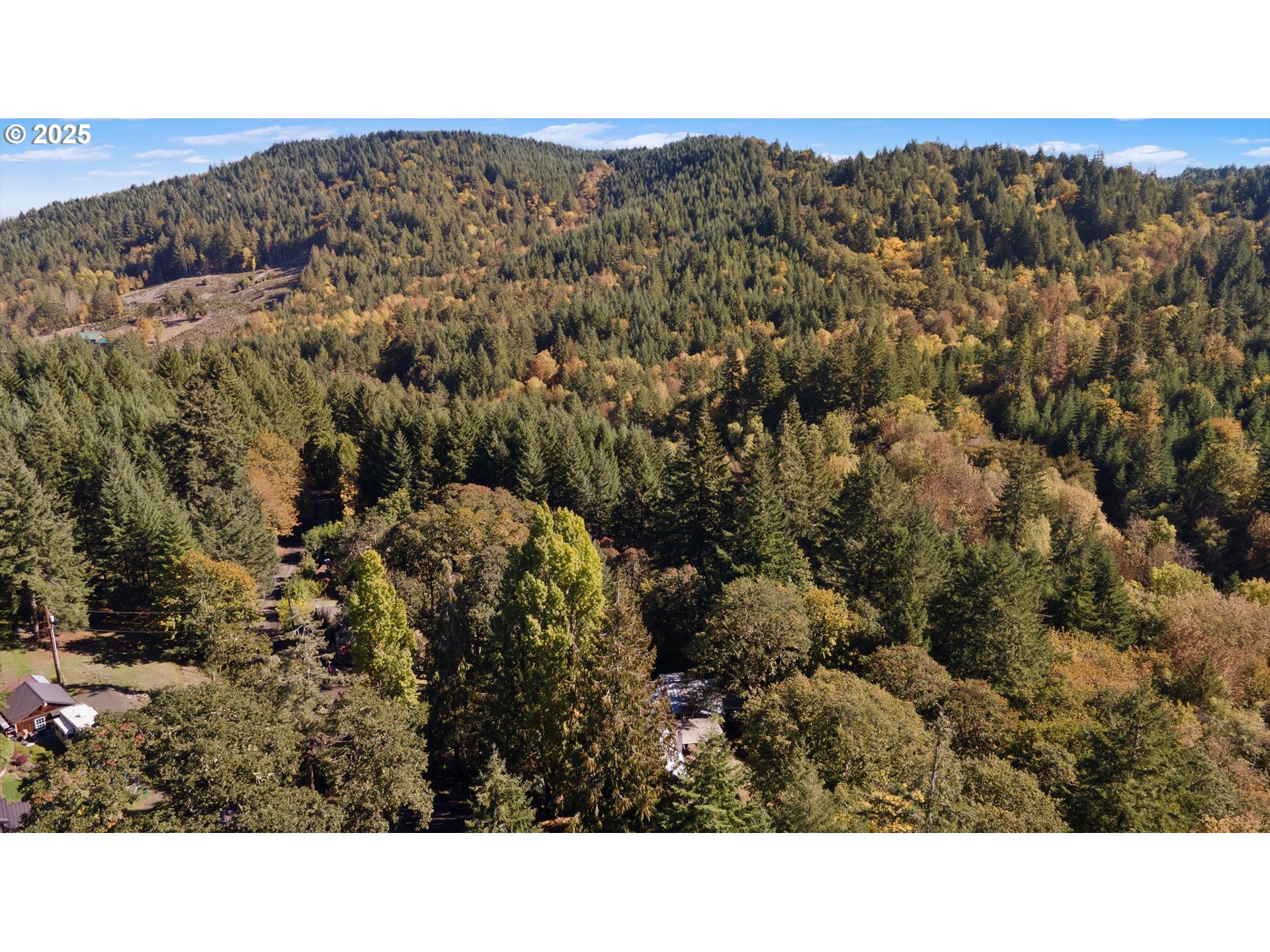 23340 DOANE CREEK RD