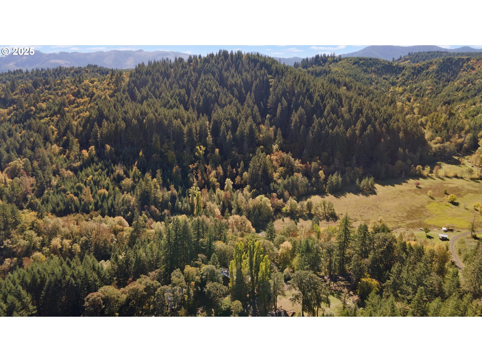 23340 DOANE CREEK RD