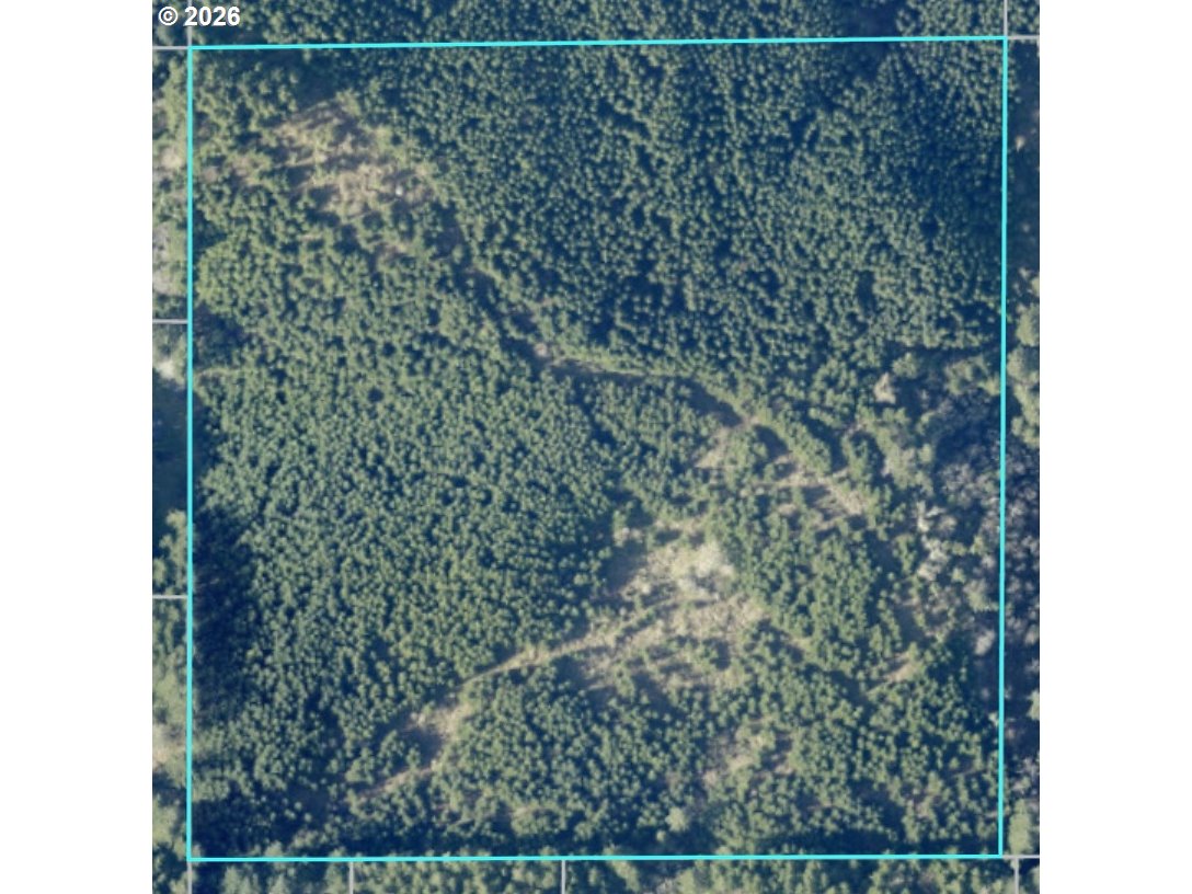 High Pass RD TL300