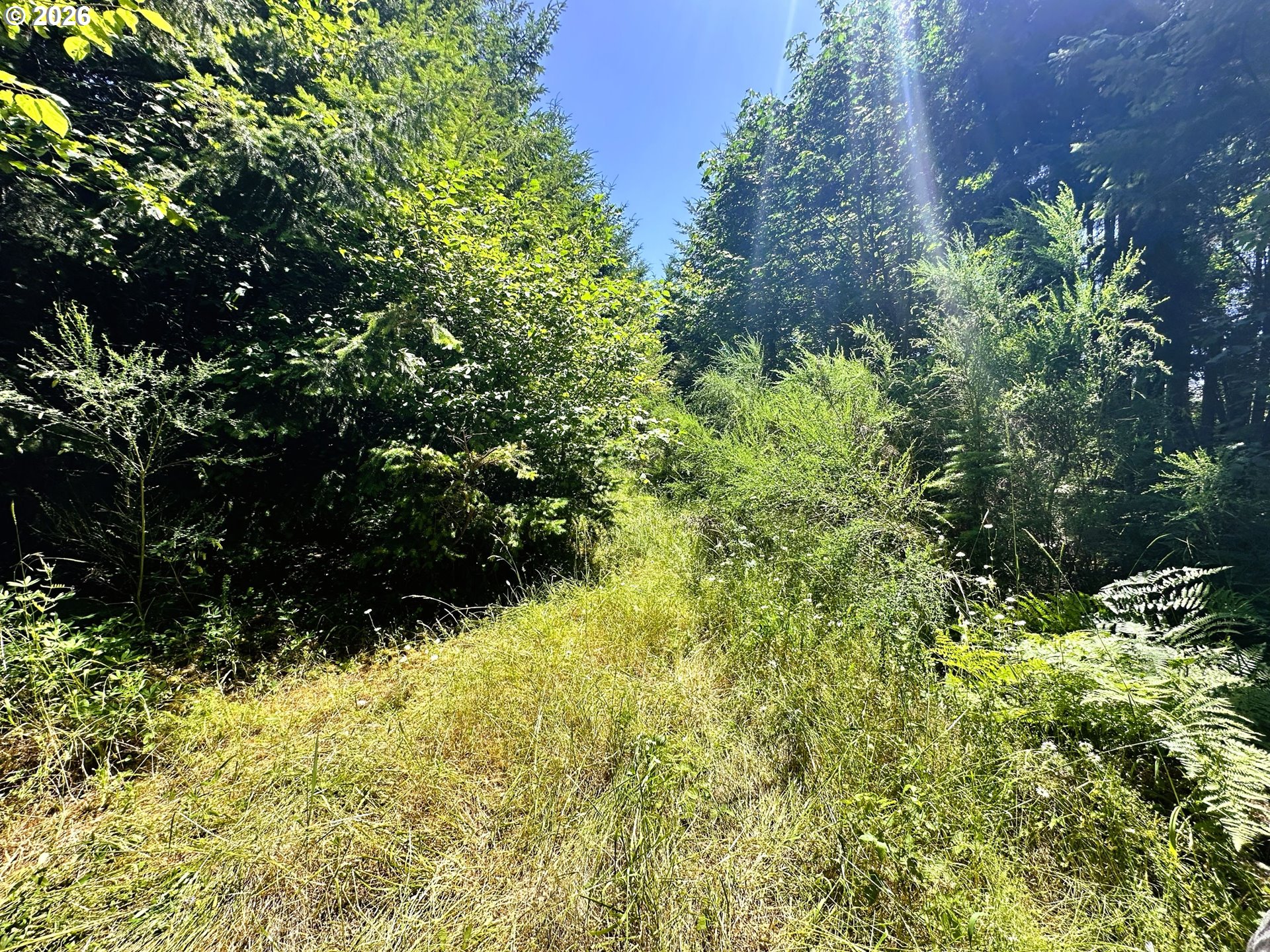 High Pass RD TL300