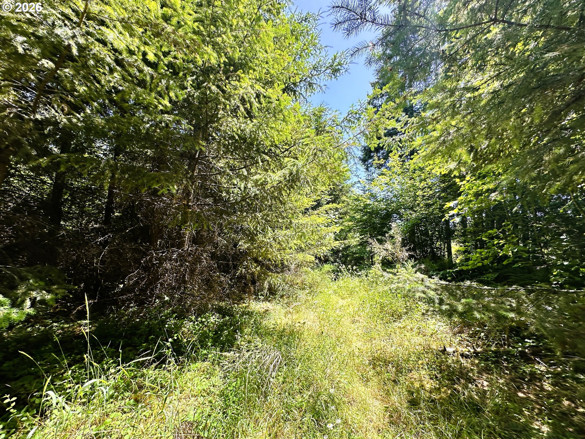 High Pass RD TL300