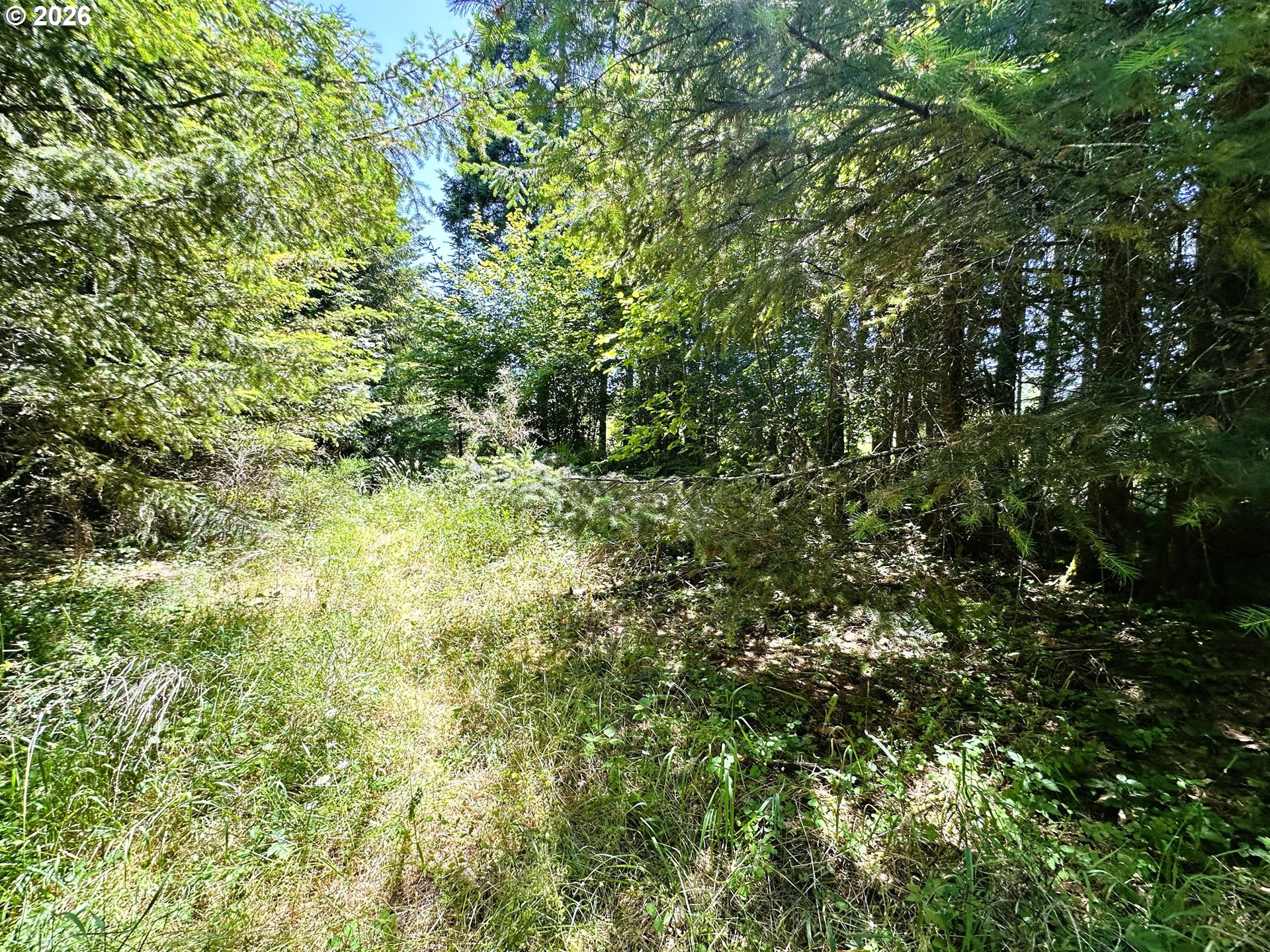 High Pass RD TL300