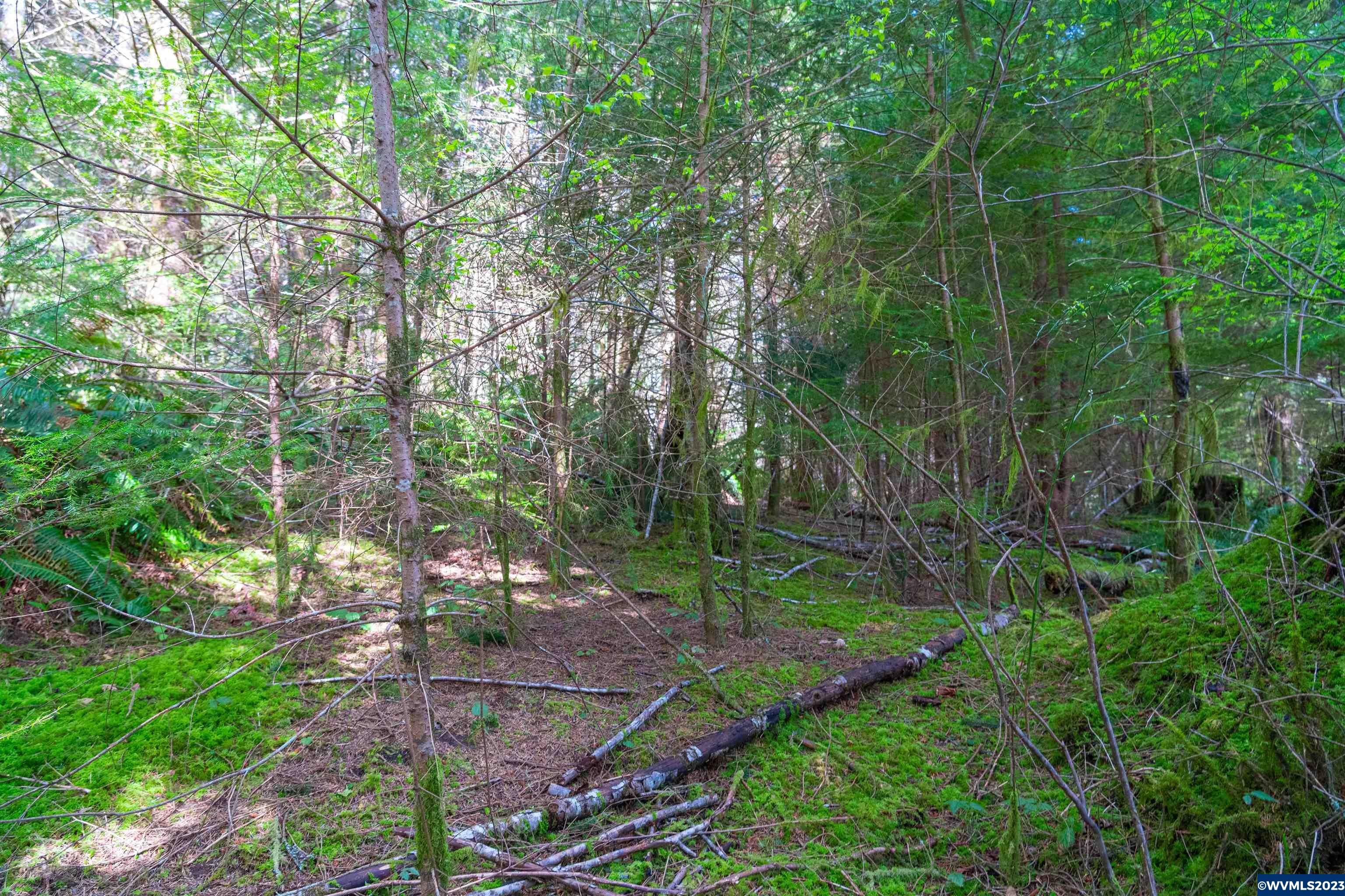 Depot Creek Tree Farm