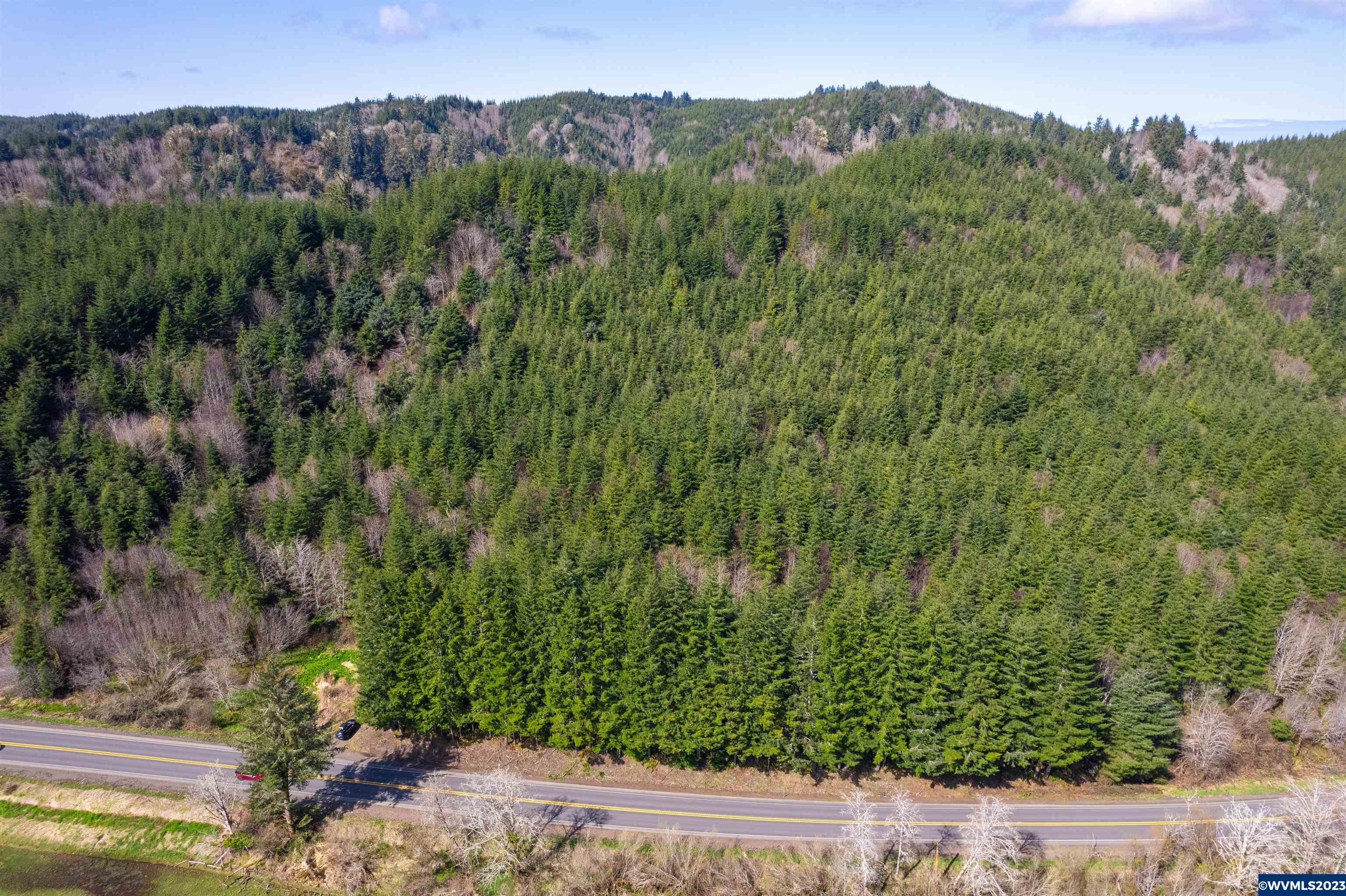 Depot Creek Tree Farm