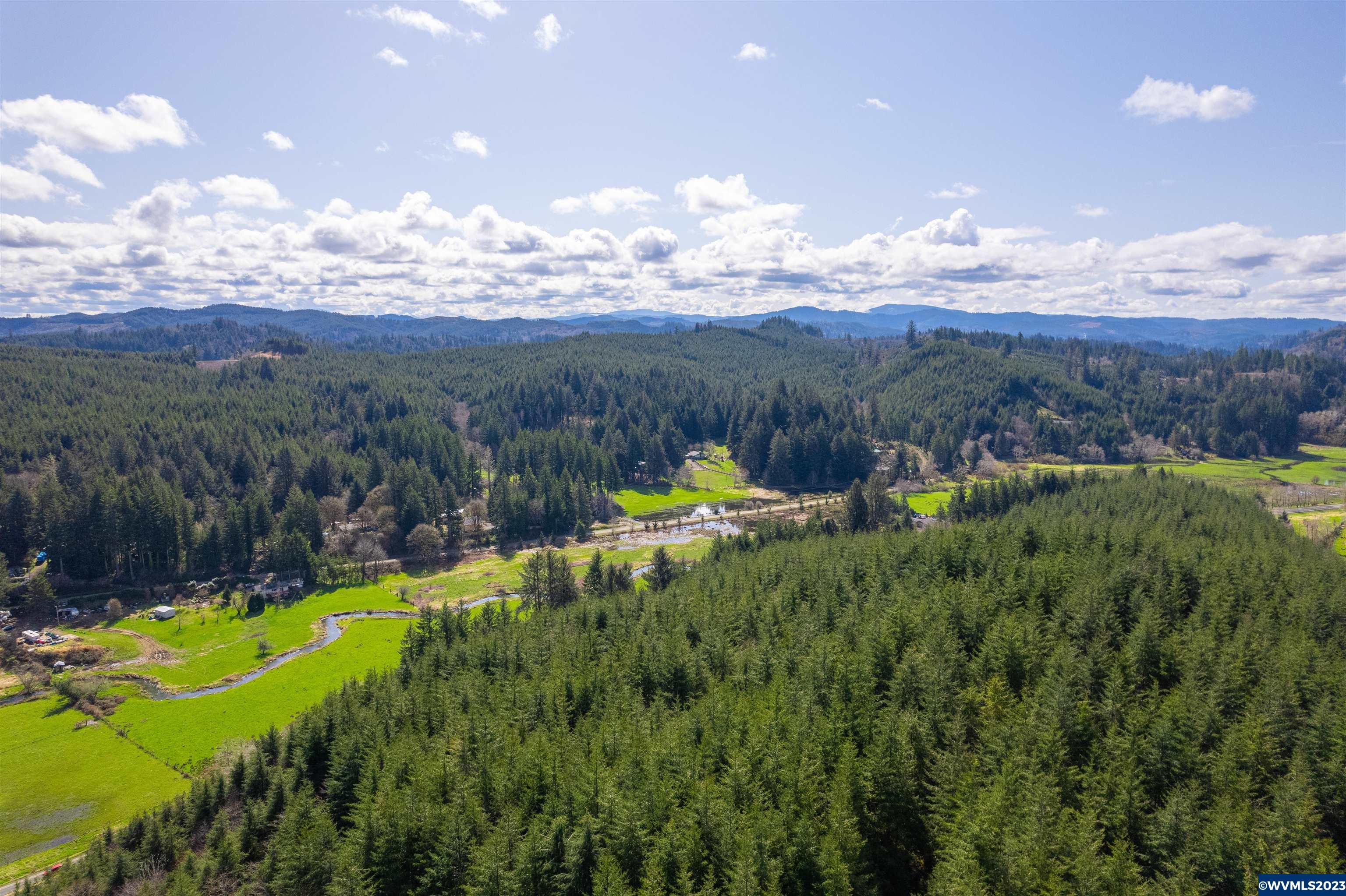 Depot Creek Tree Farm