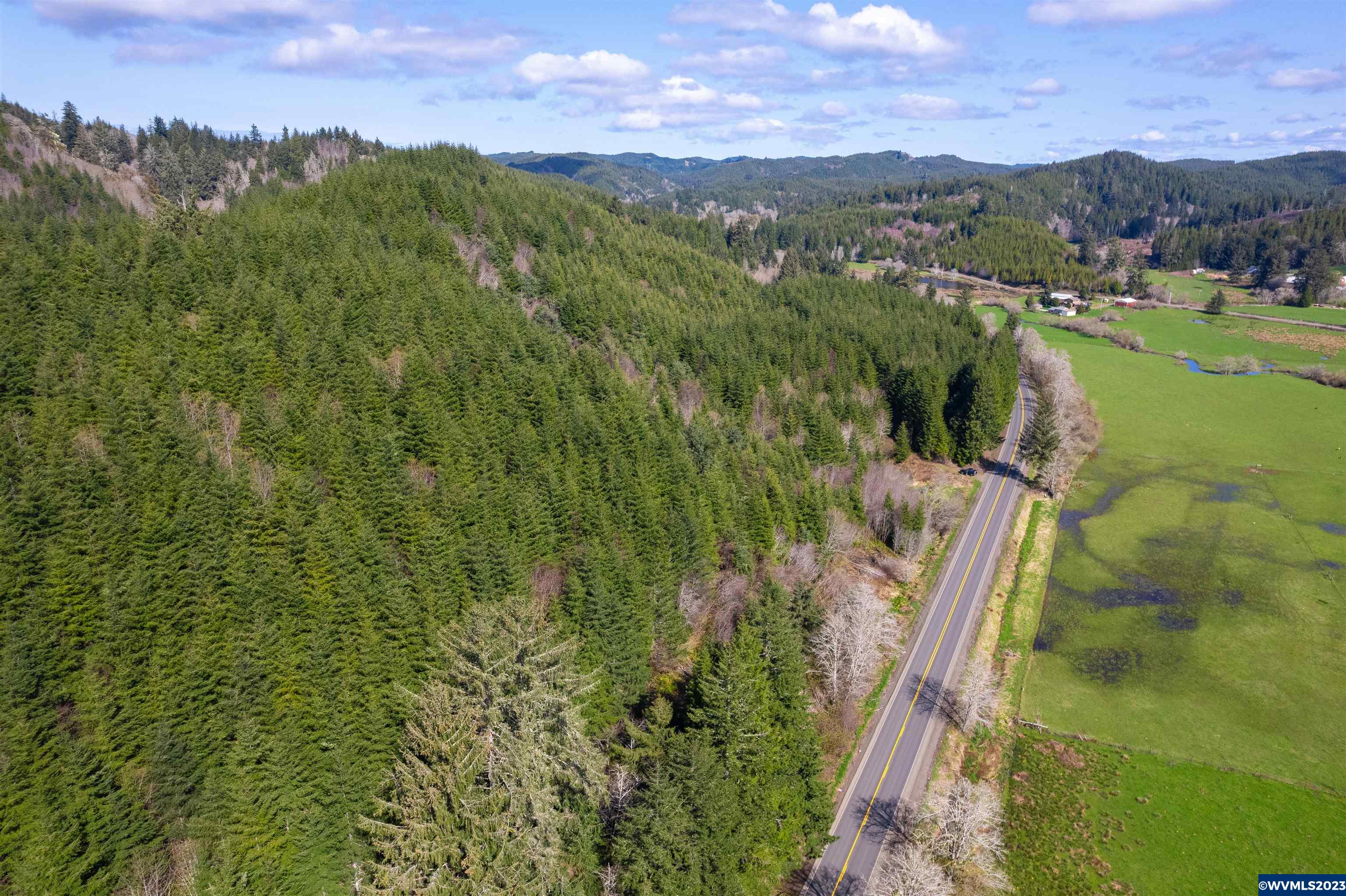 Depot Creek Tree Farm